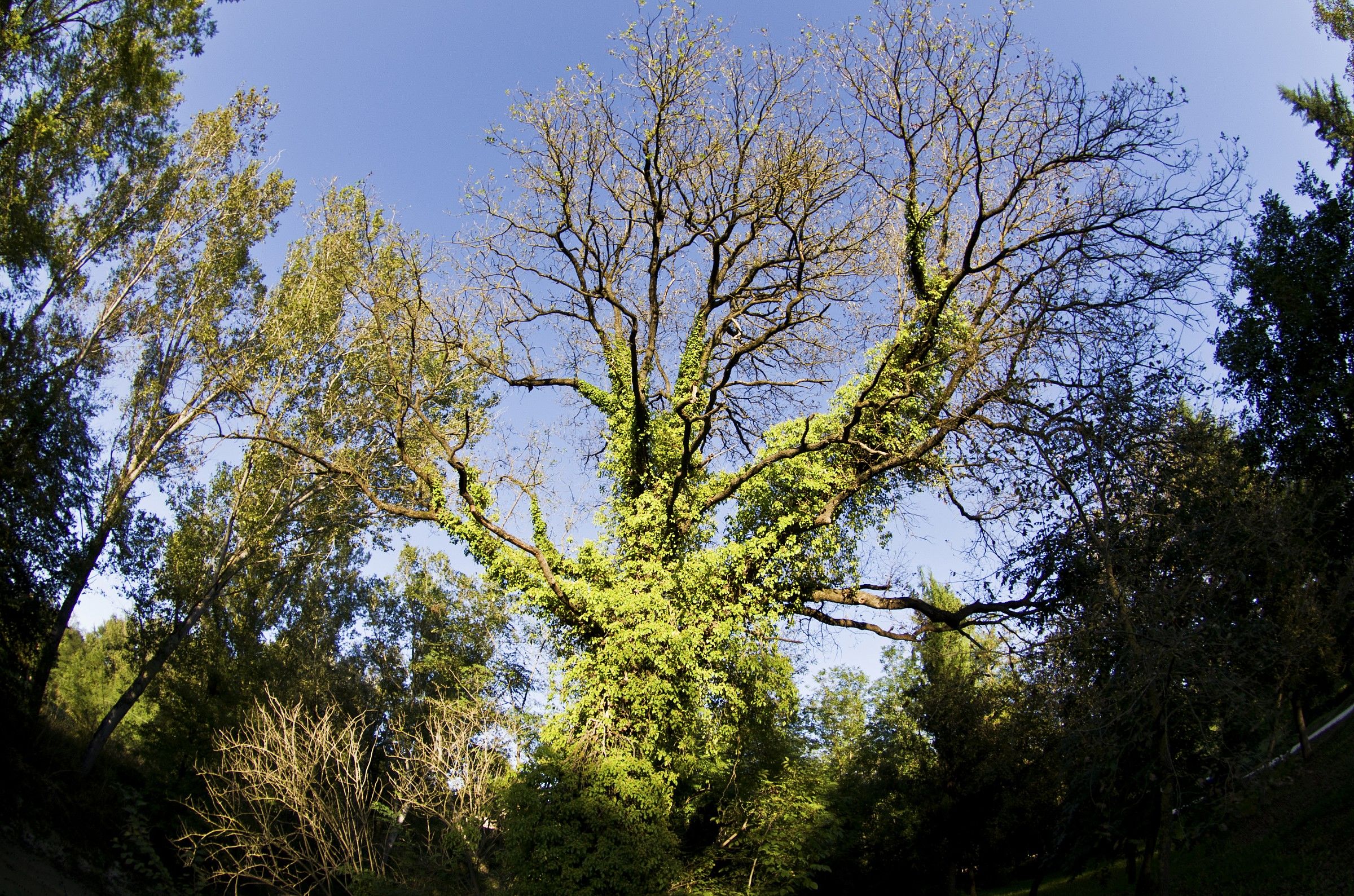 ricordi di una estate...