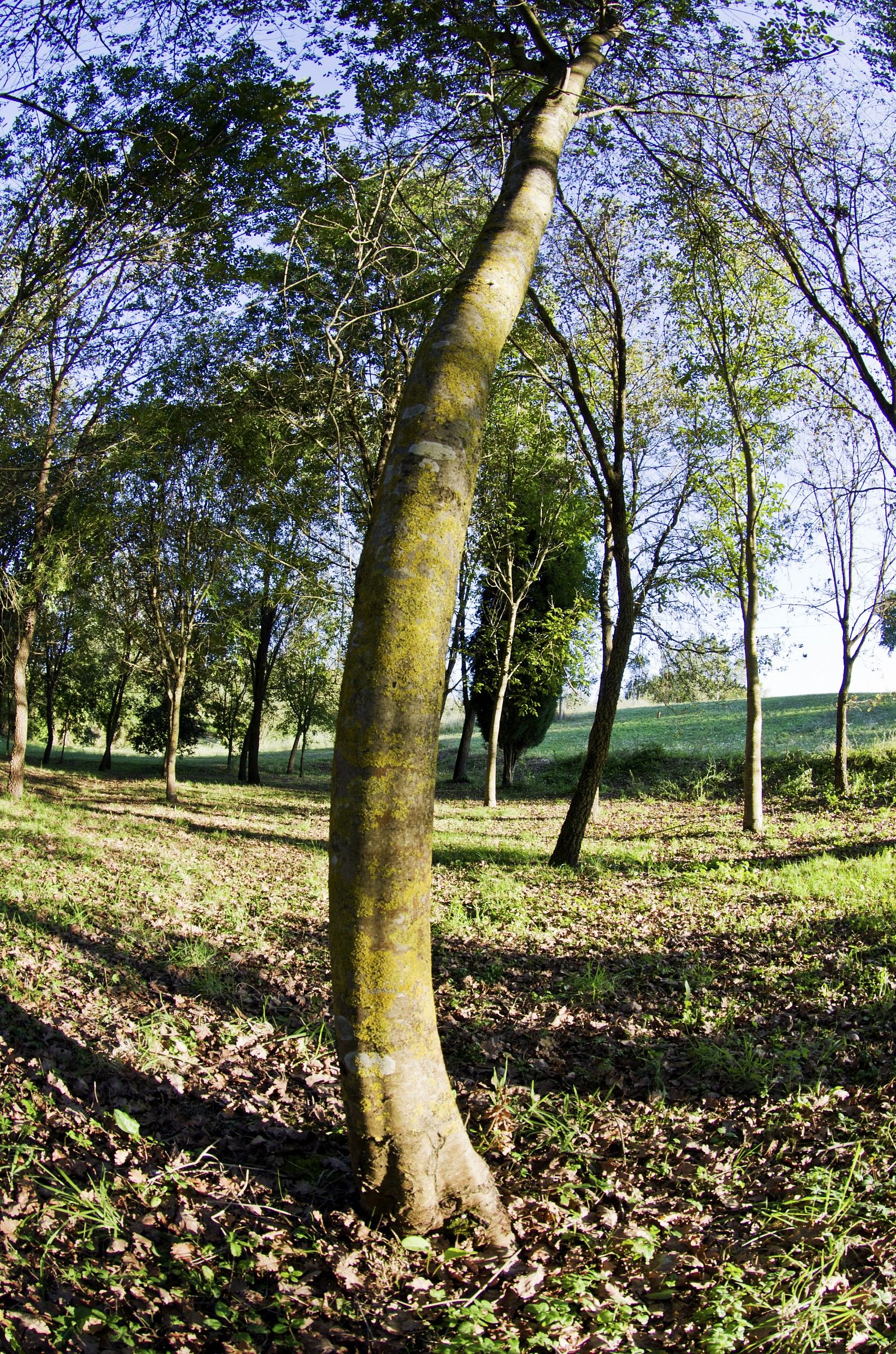 ricordi di una estate...