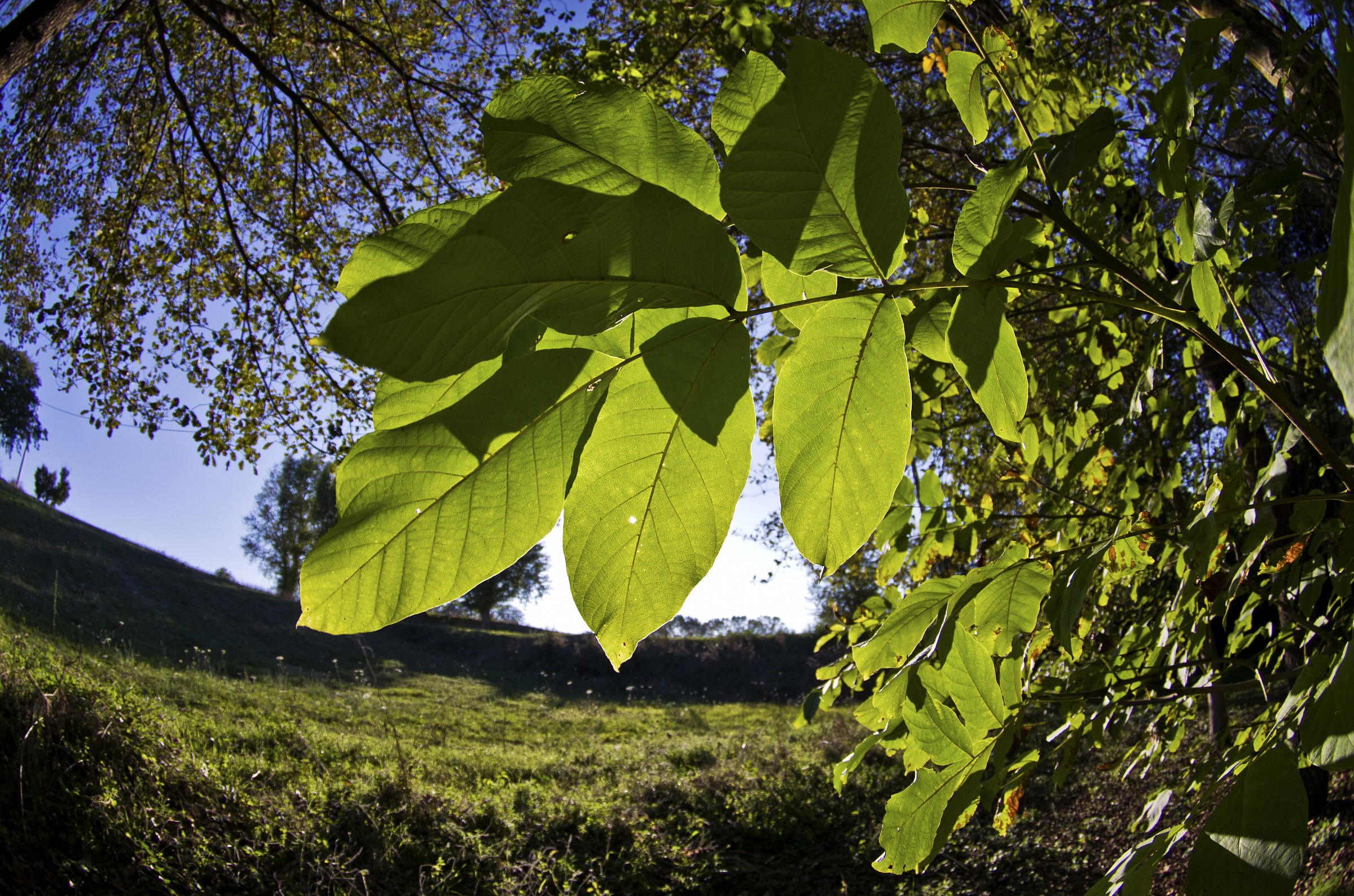 ricordi di una estate...