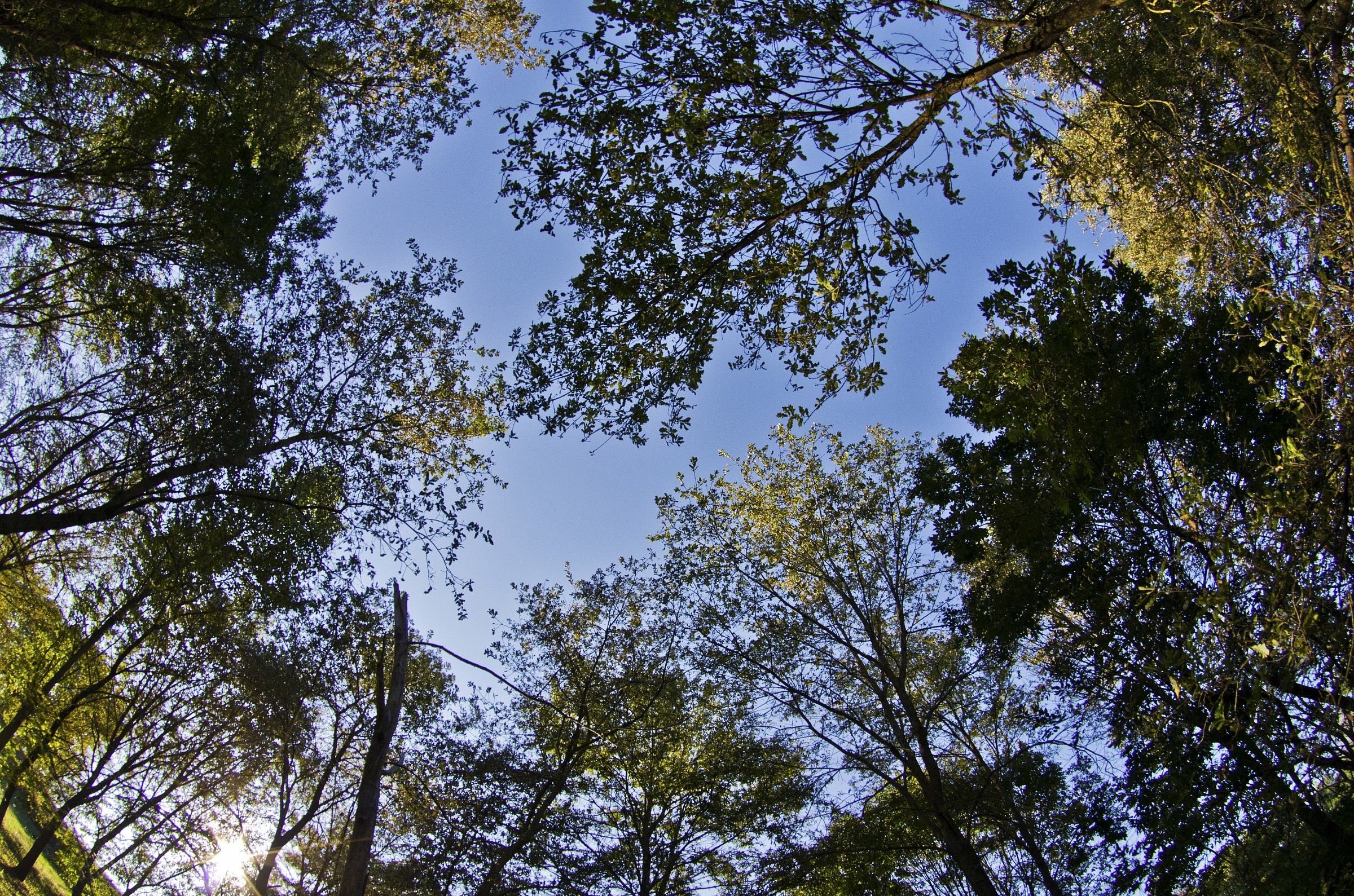 ricordi di una estate...