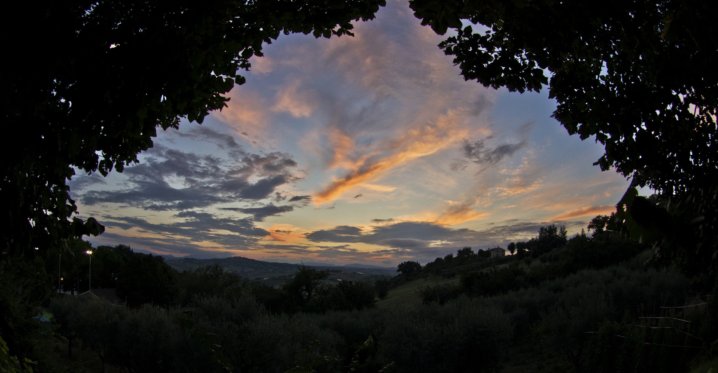 ricordi di una estate...