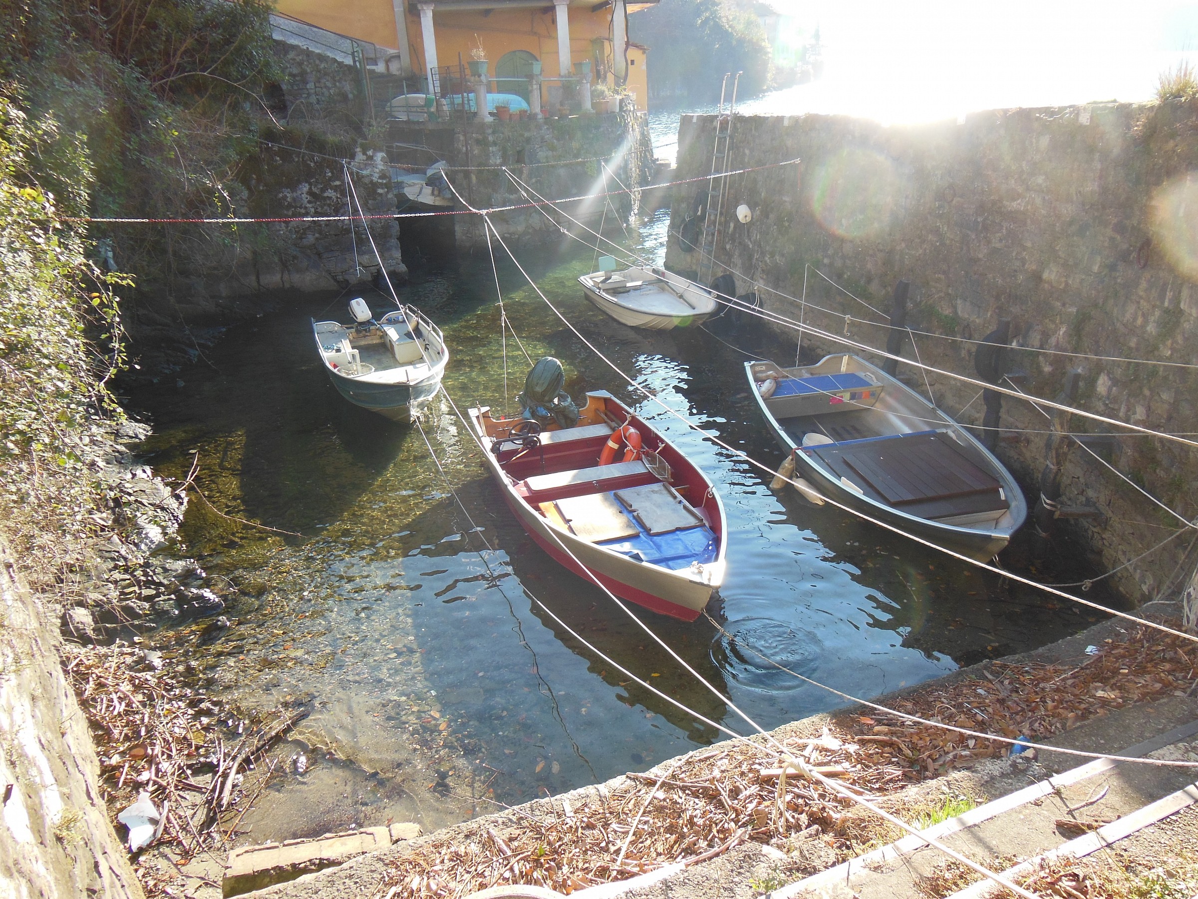 Nexus: Marina backlit.