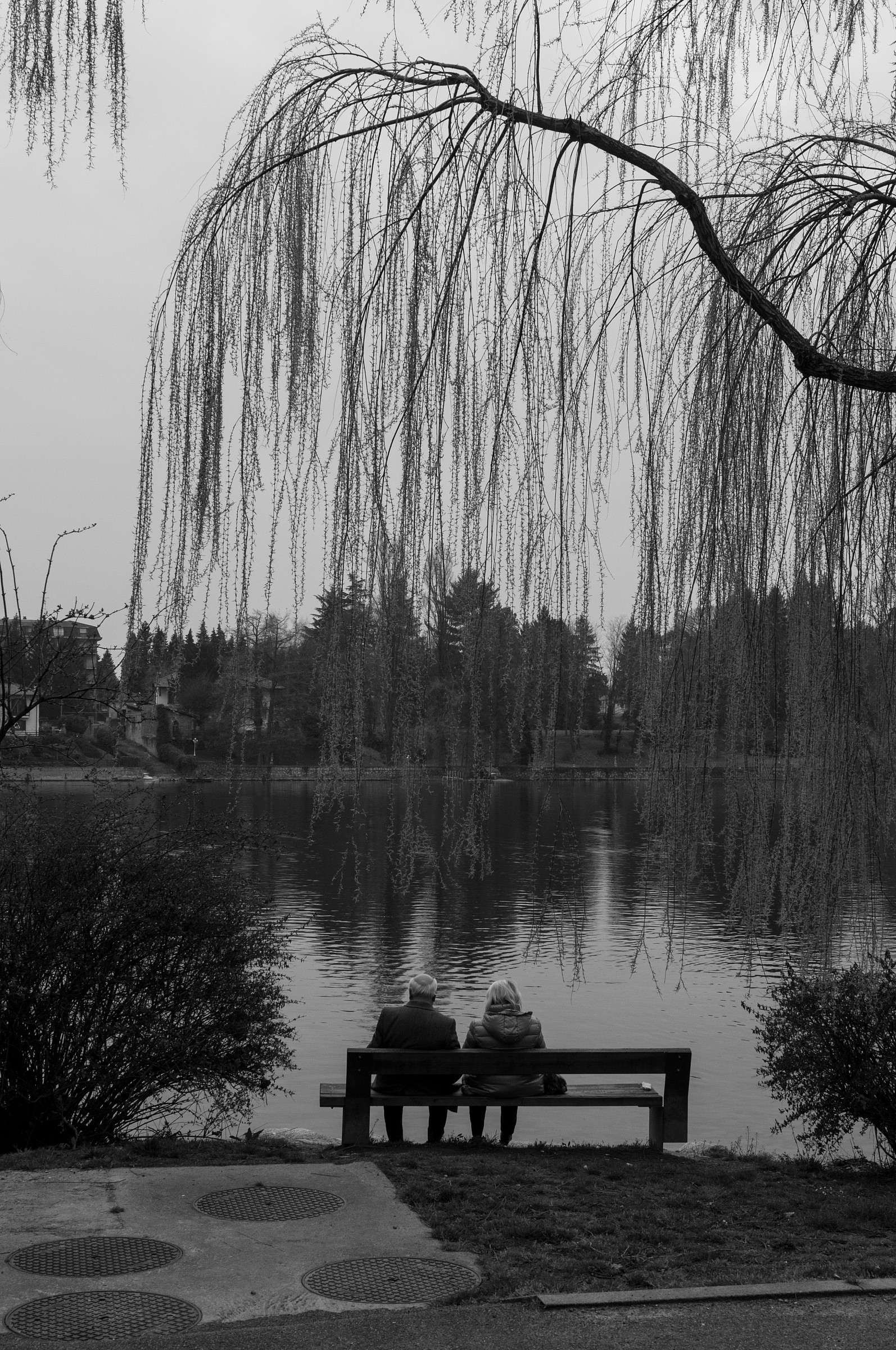 Pomeriggio plumbeo (vecchia versione)