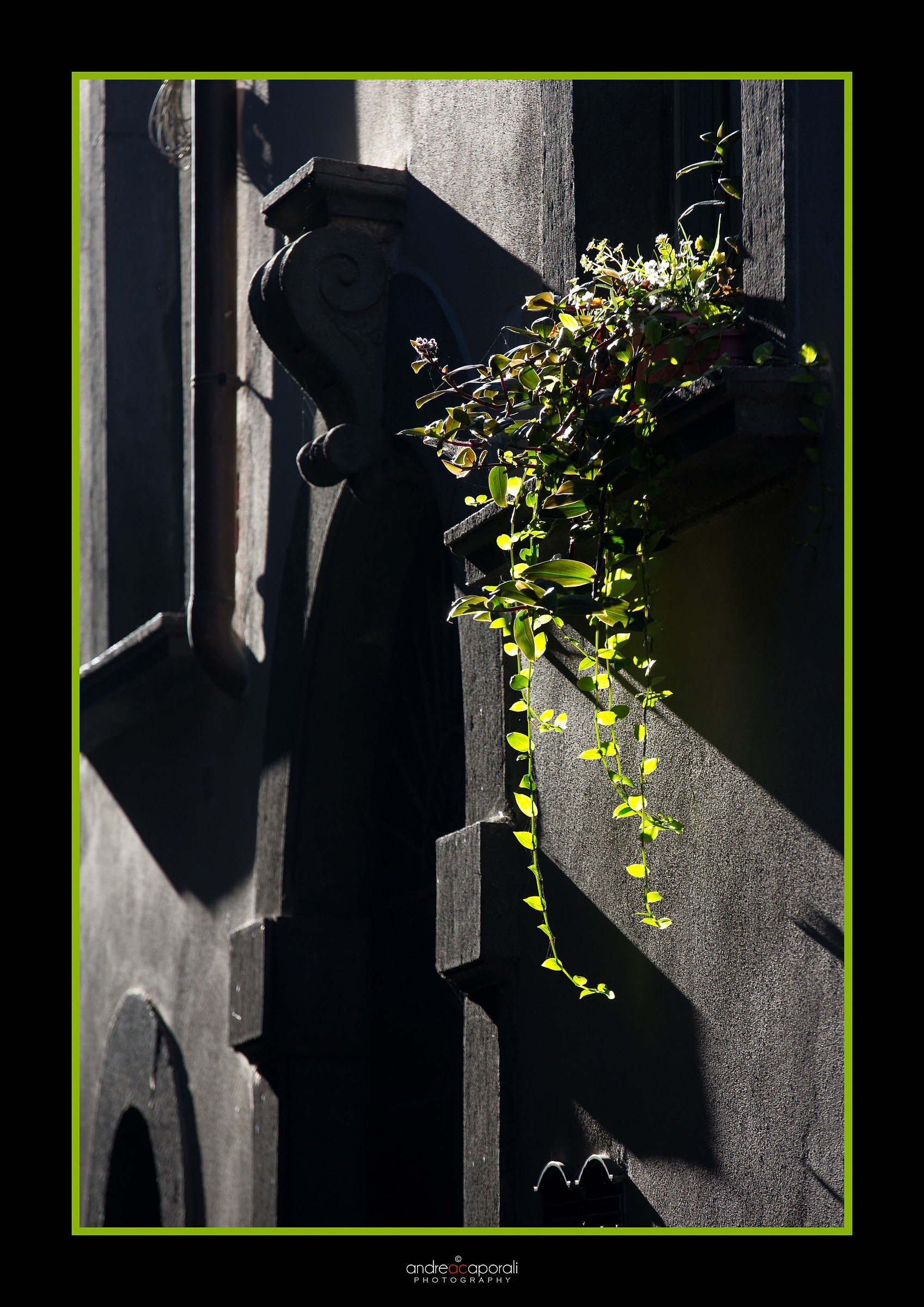 N O P H O T O S H O P