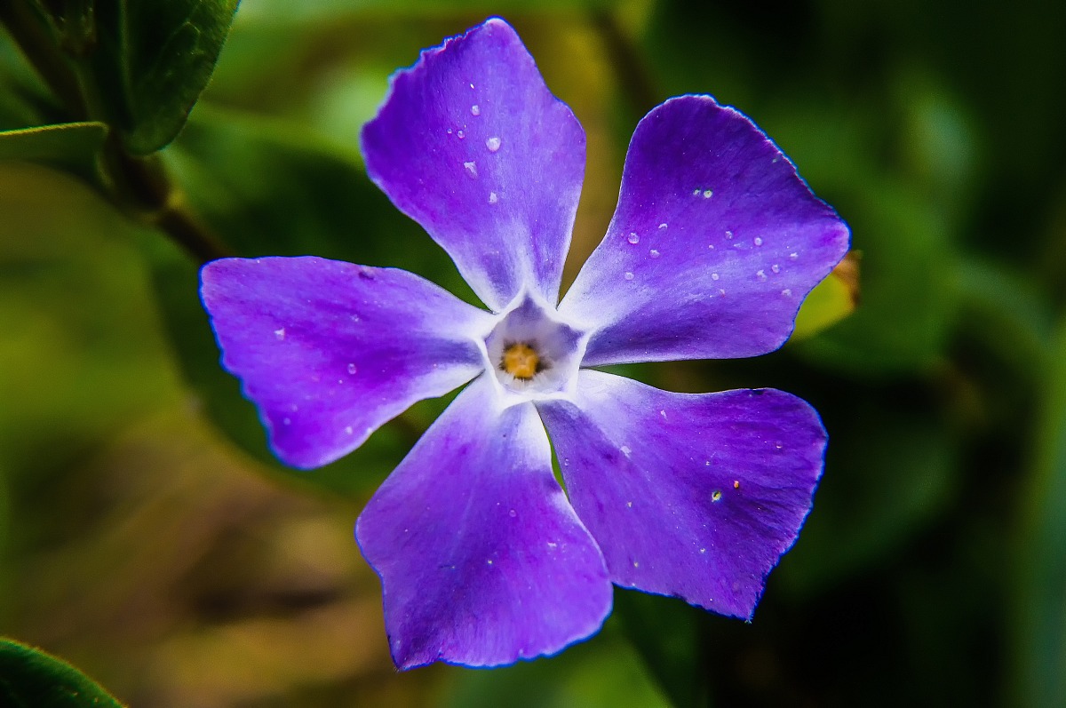 Finalmente è primavera!