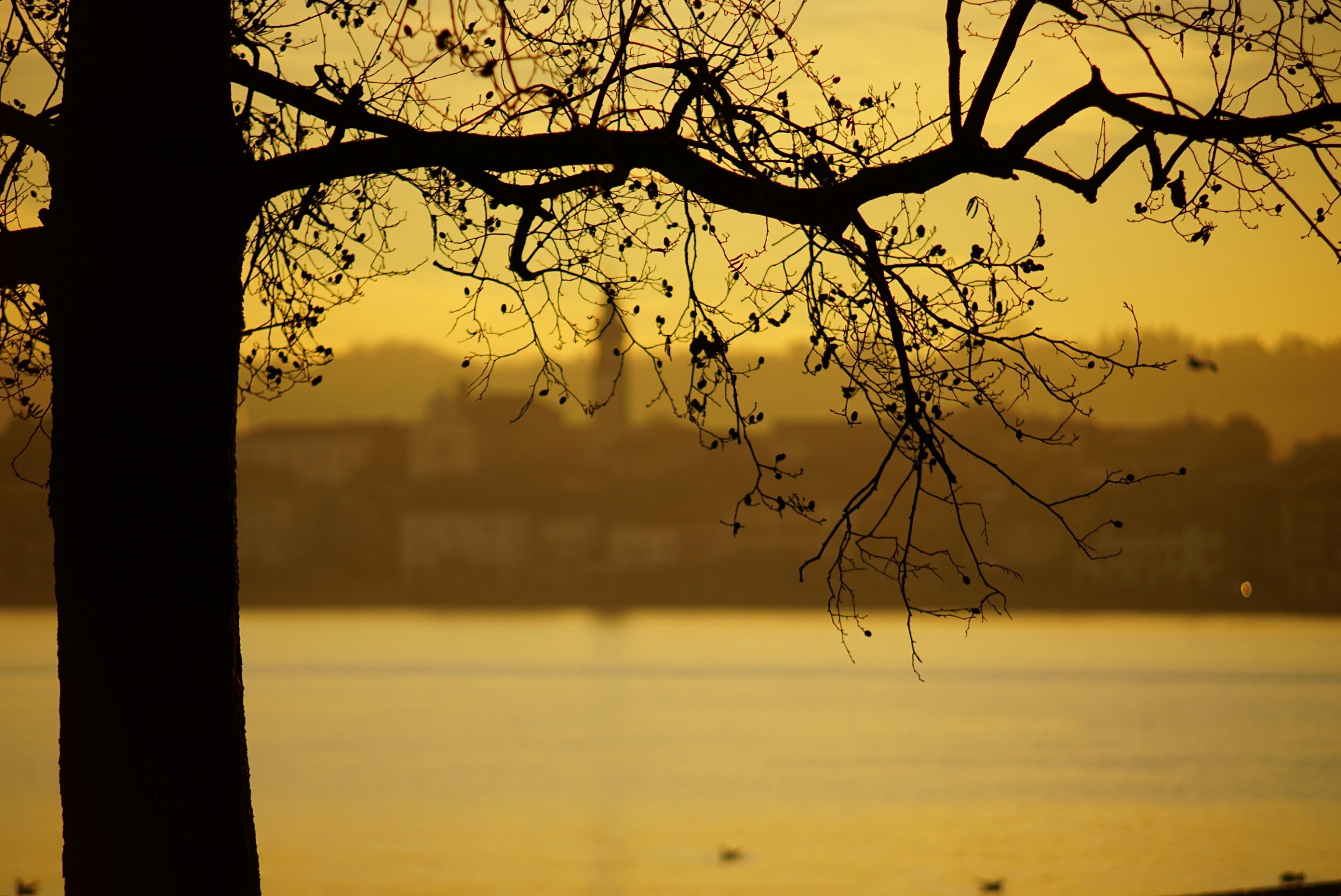 Sunset on Lake Maggiore