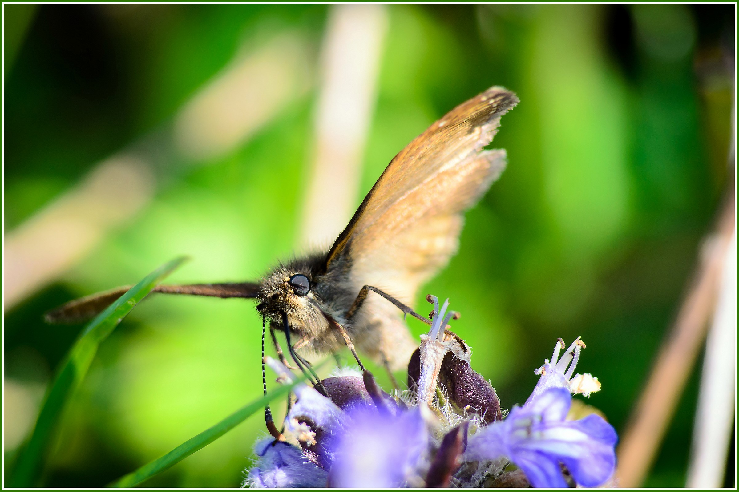 Attività primaverili