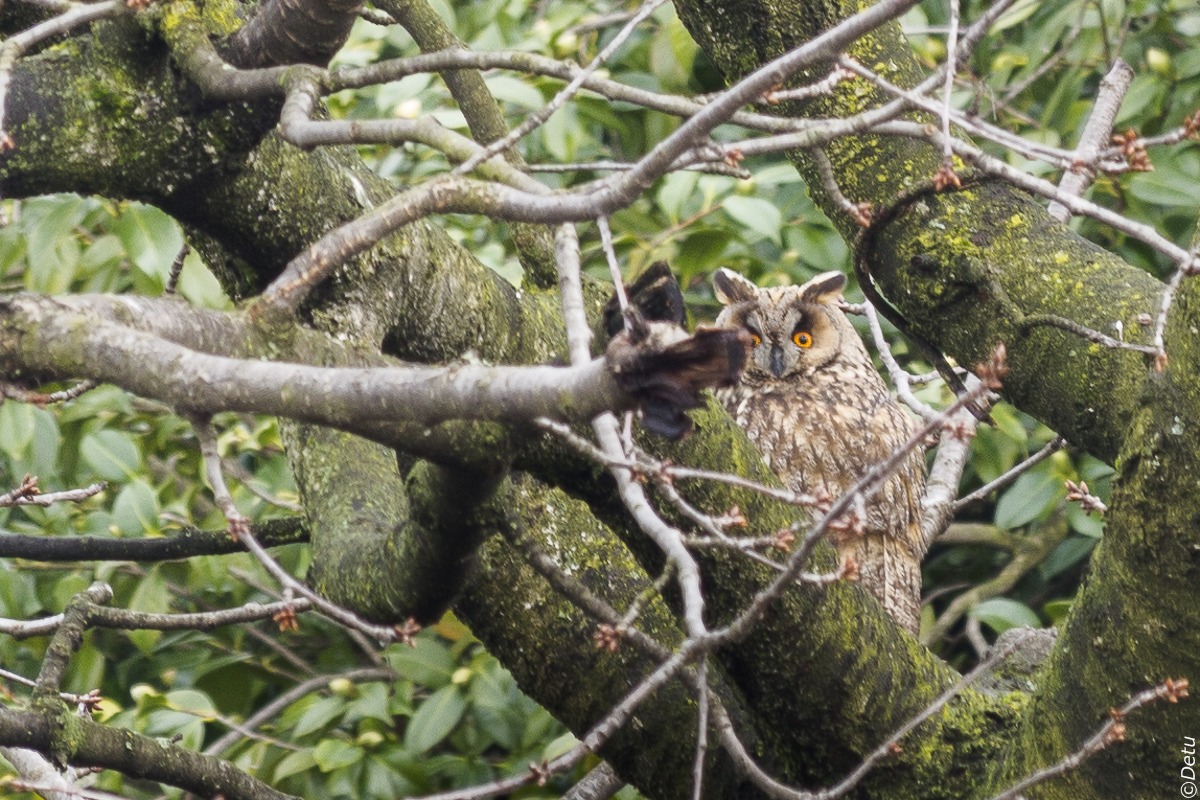 I'm keeping an eye !!