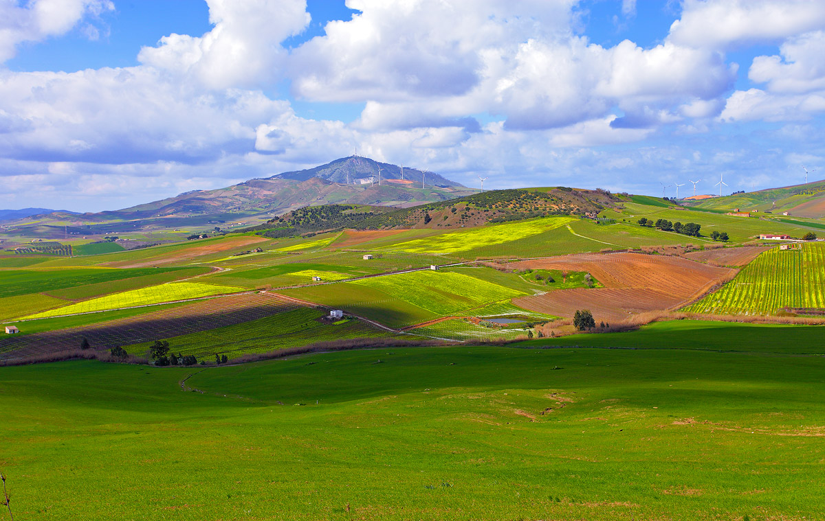Sicilian countryside