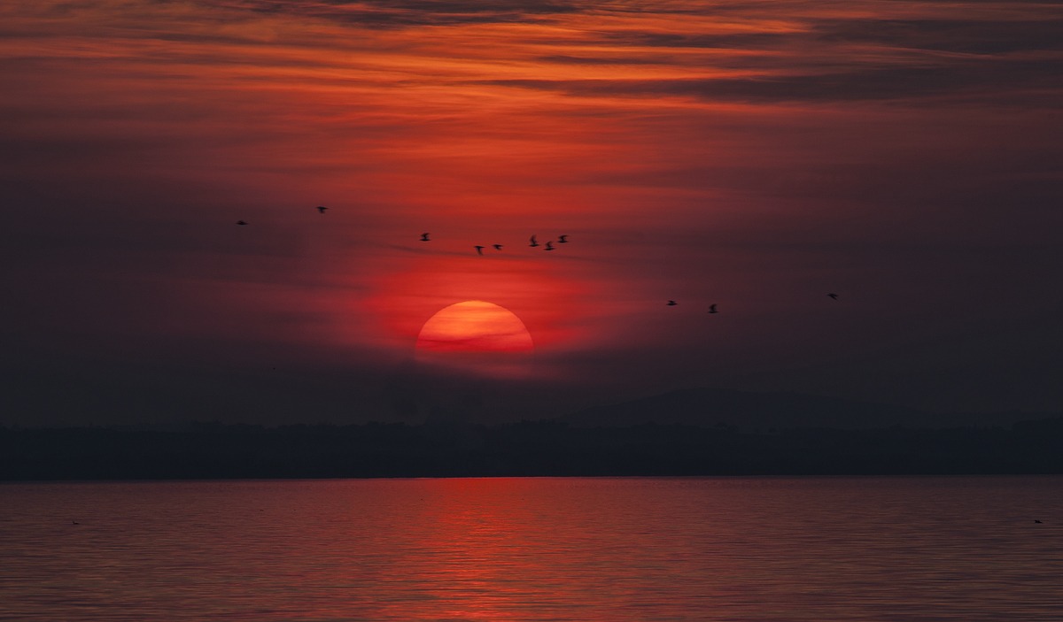 Walking to the lake ...