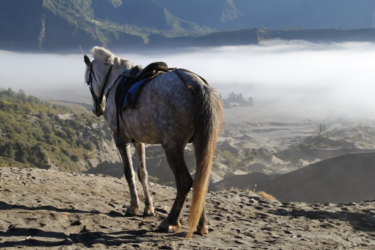 Vulcano Bromo