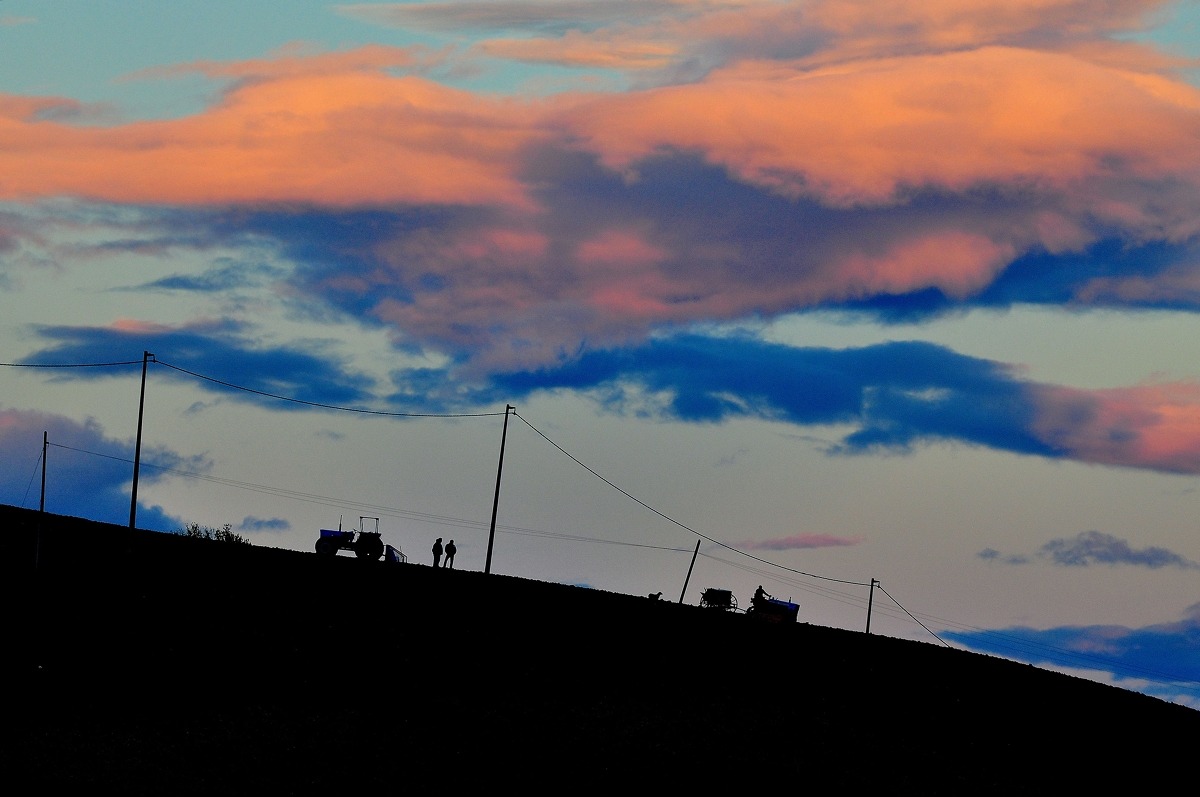 Ploughing Round Trip 2