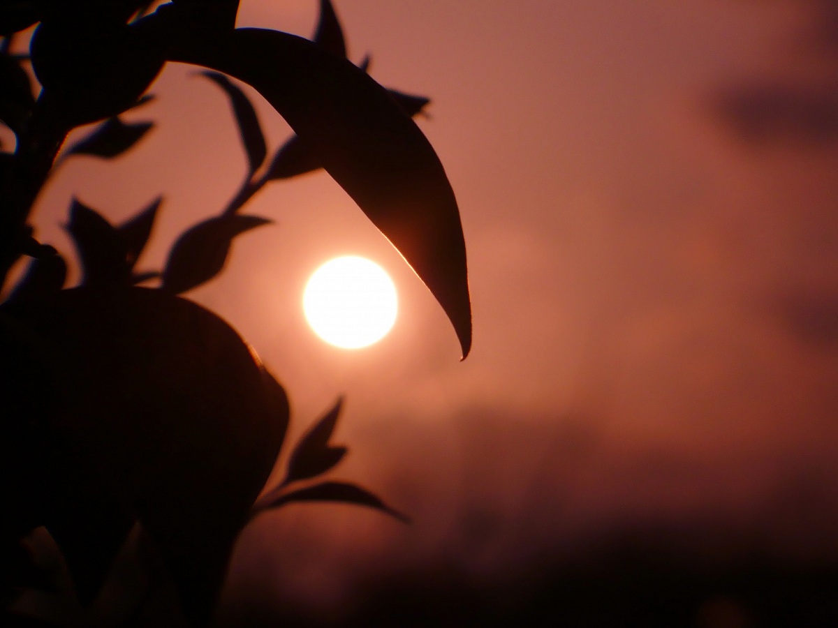 Sunset at Ceprano (fr)