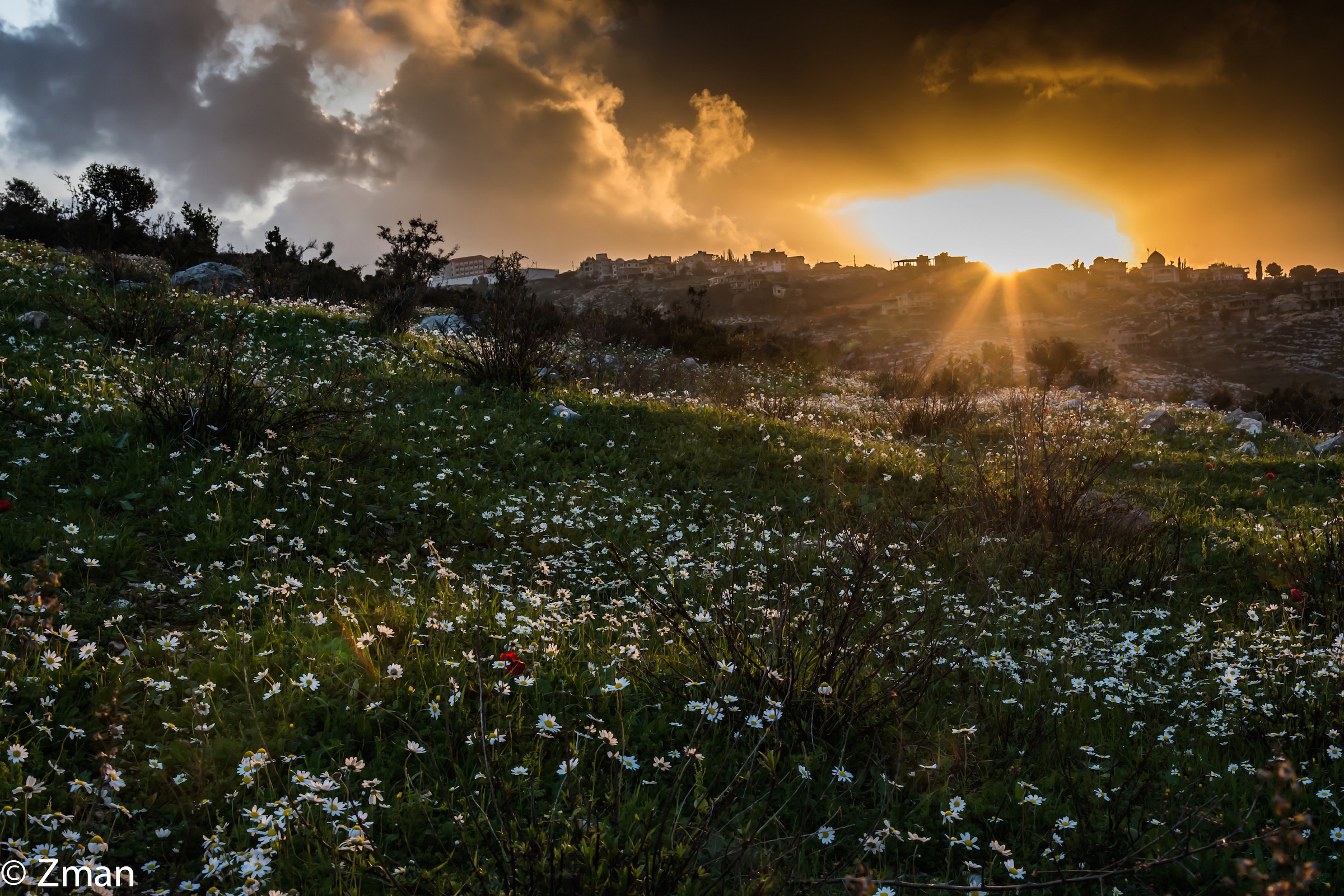 End Of Day and come tomorrow