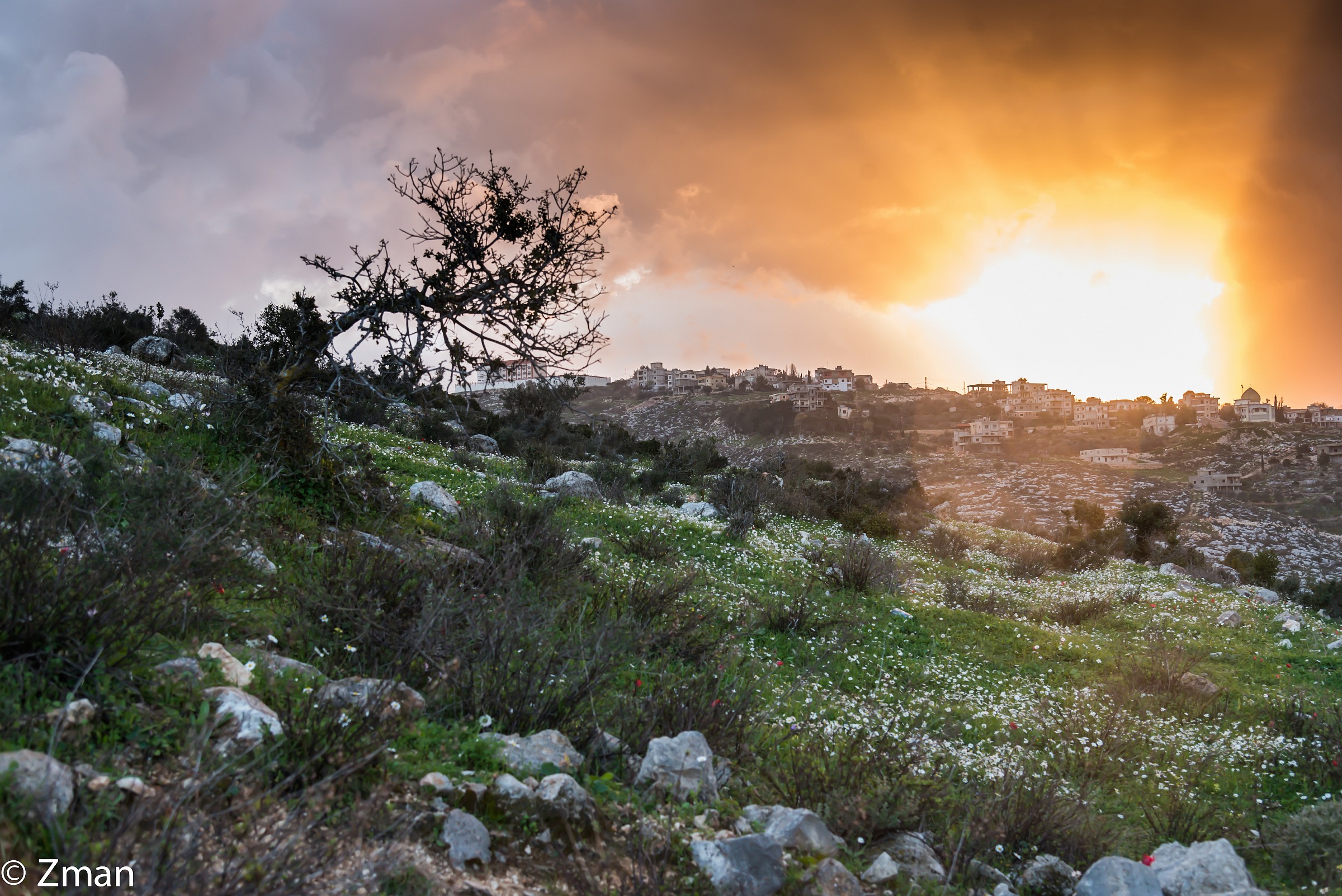 End Of Day and come tomorrow