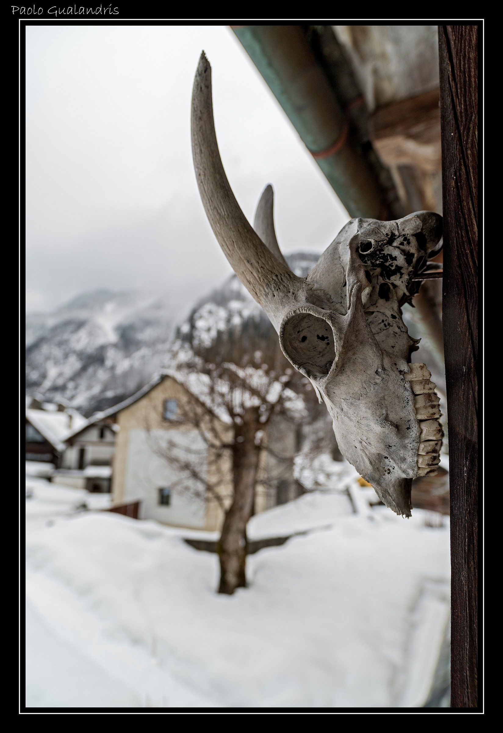 Si Muore Dal Freddo...!!!