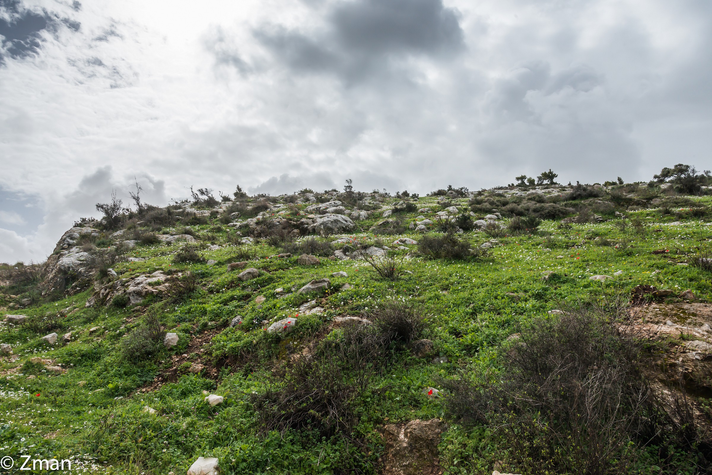 The Coming of Spring