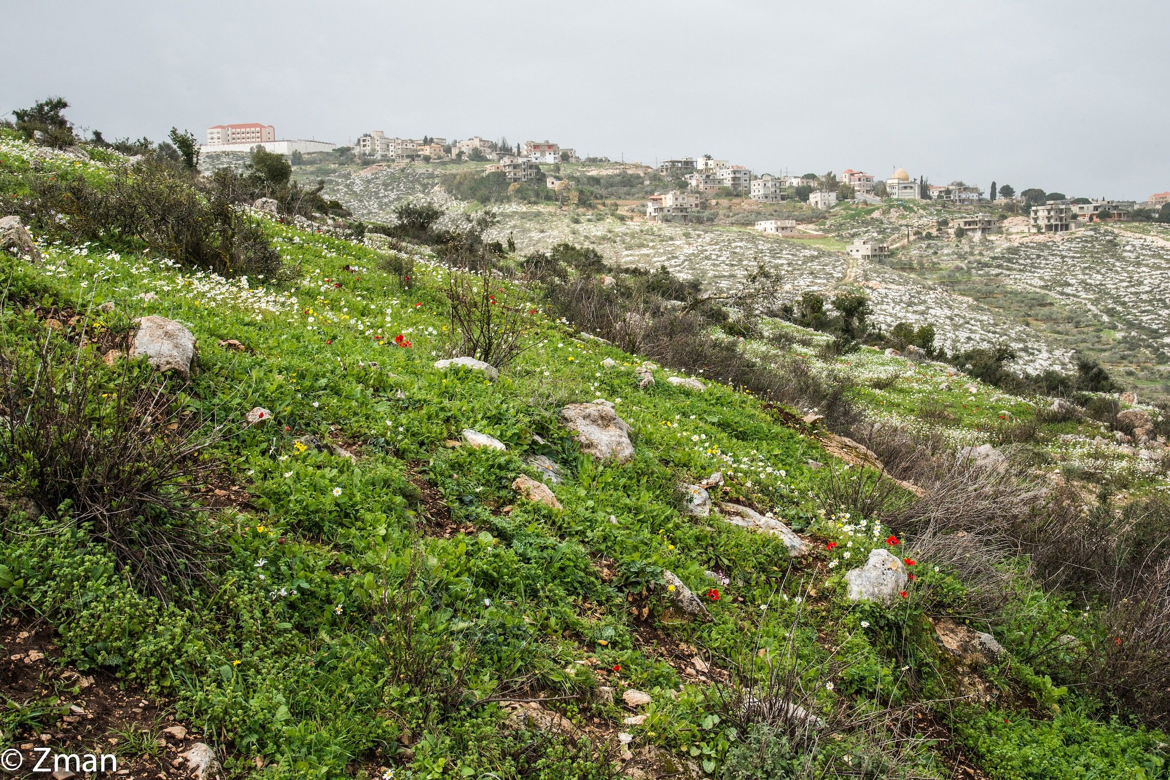 The Coming of Spring