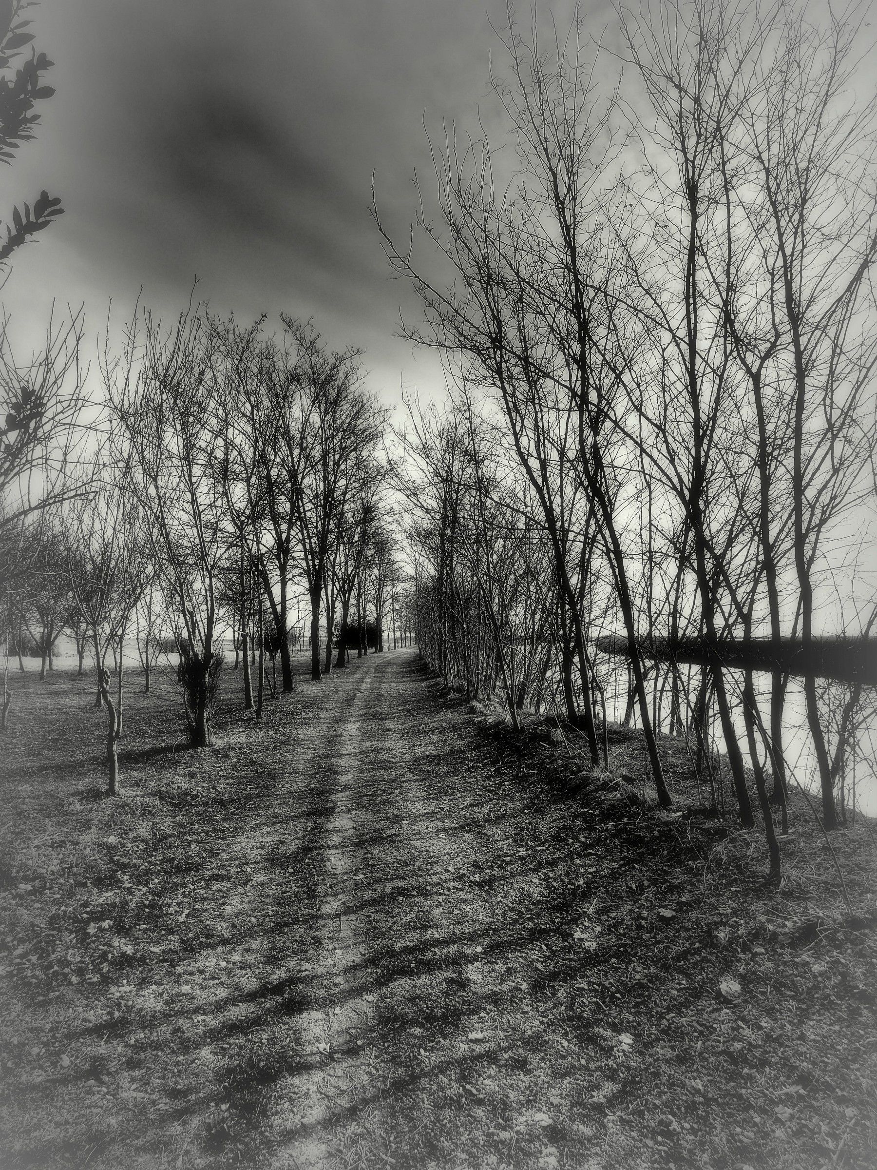 Laguna di Tessera (ve)