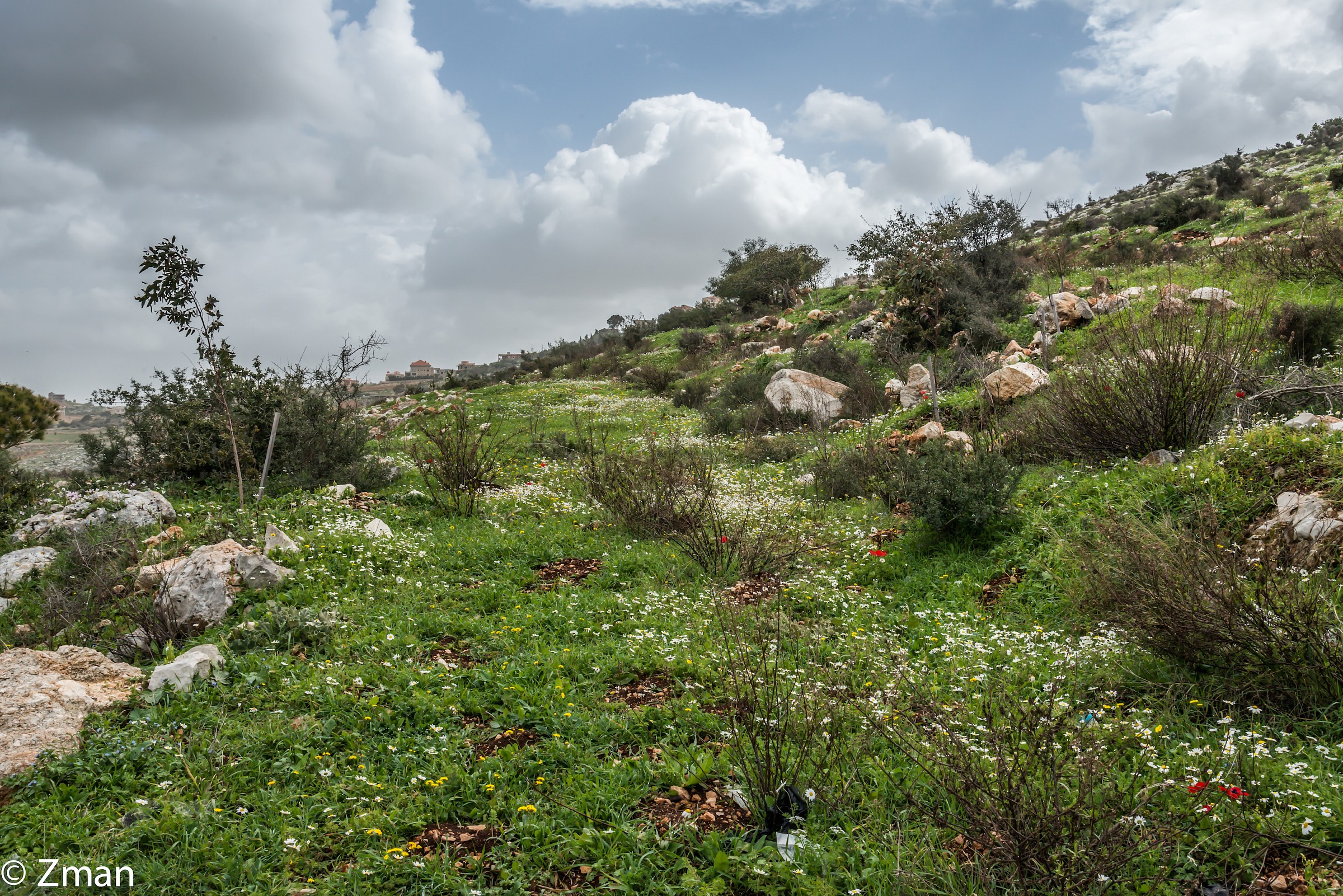 The Coming of Spring