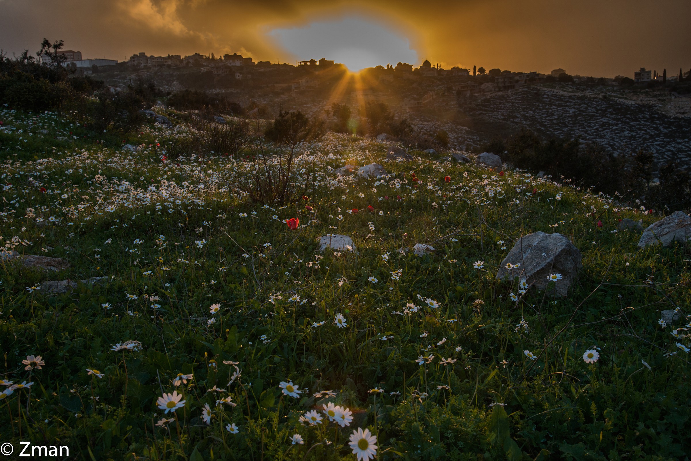 The Coming of Spring