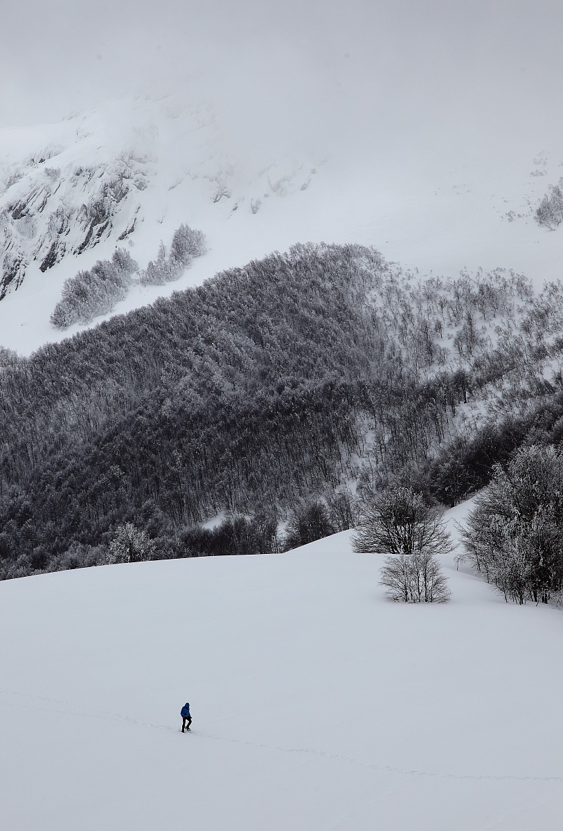 the immensity of nature