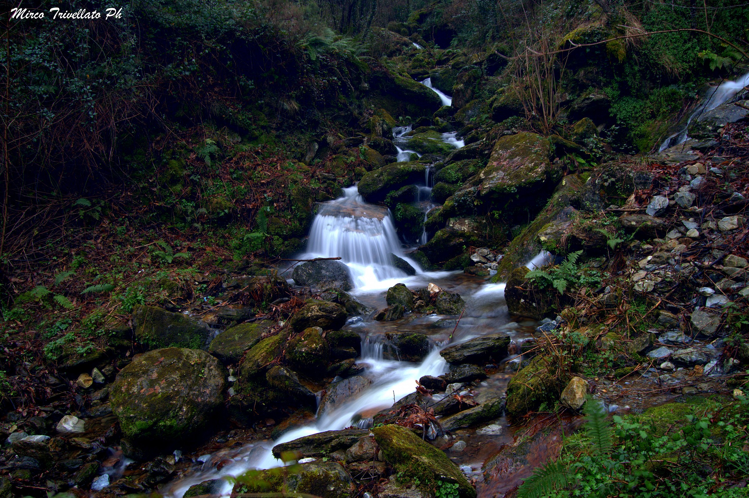 Ruscello di Montagna