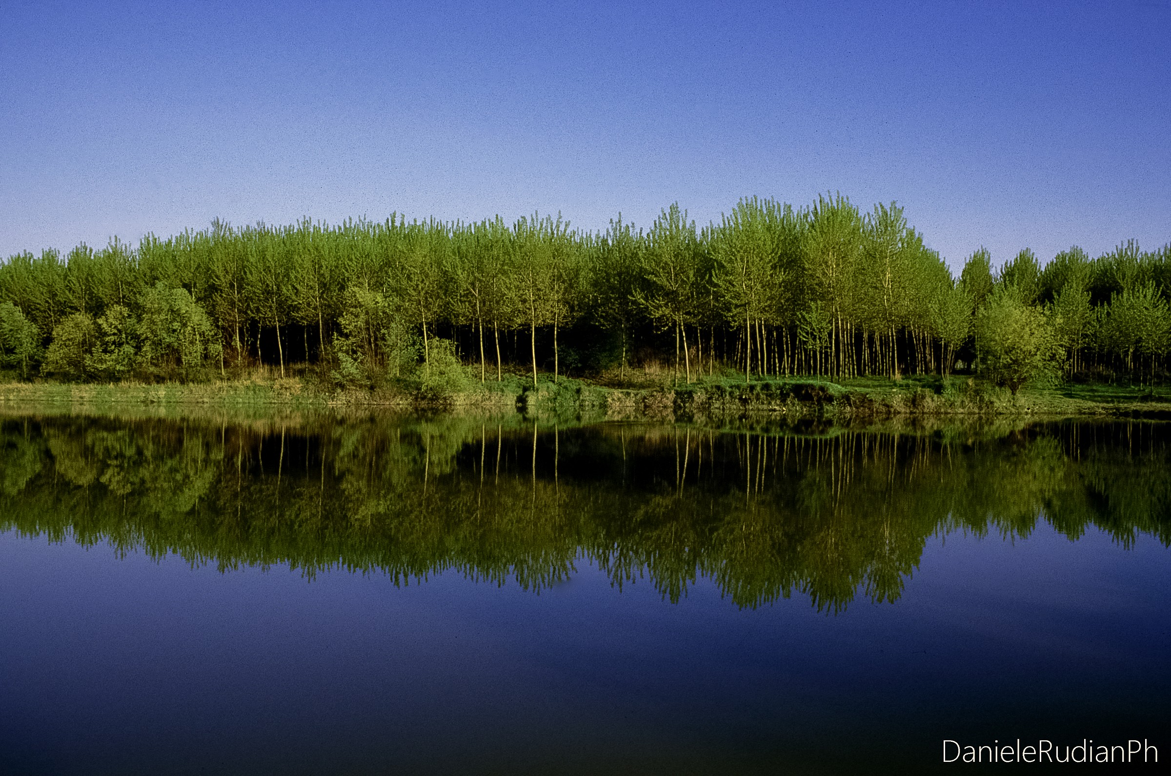 Reflection in floodplain