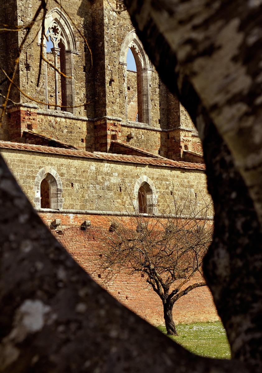 Abbazia di San Galgano (si)