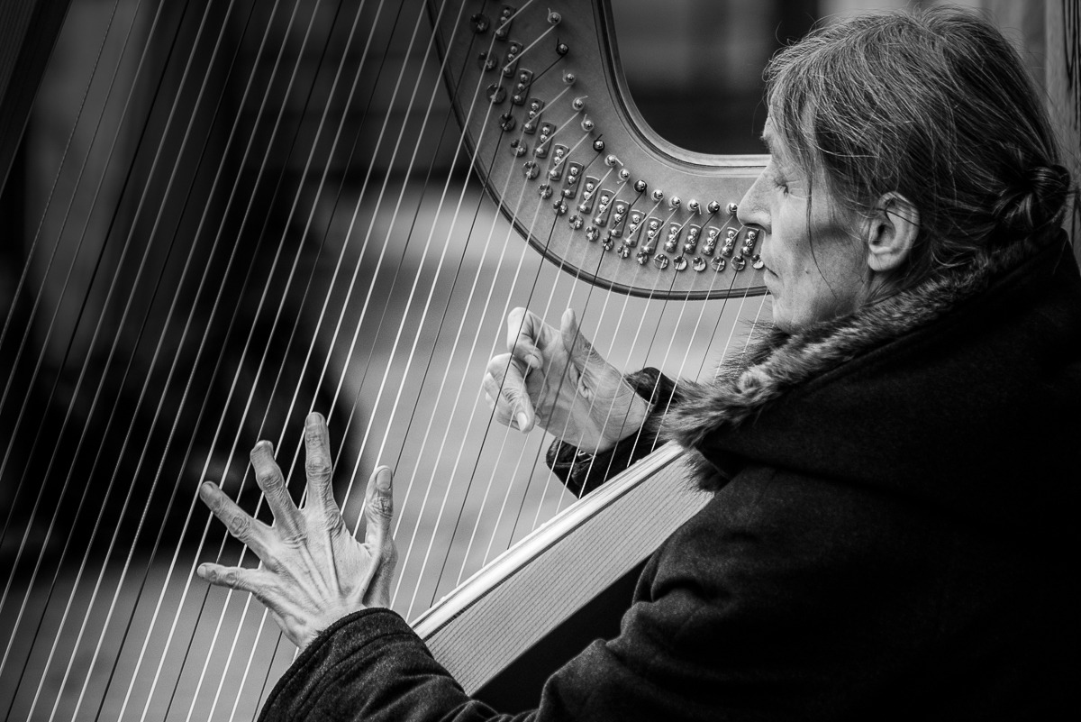 L 'harpist