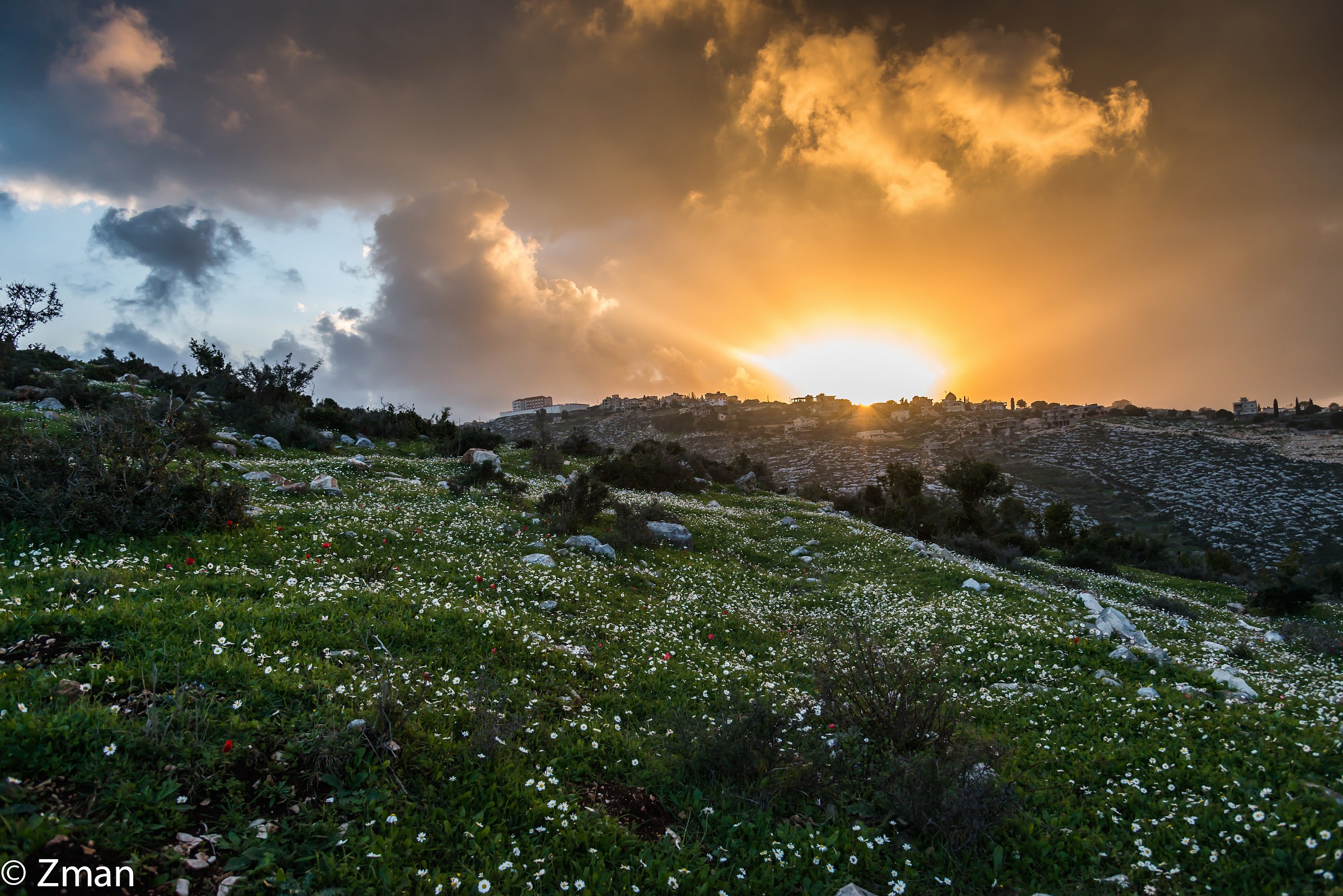 The Coming of Spring