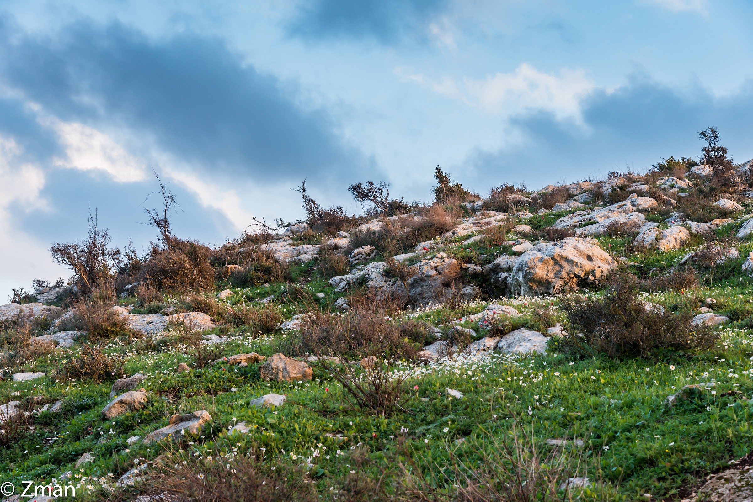 The Coming of Spring