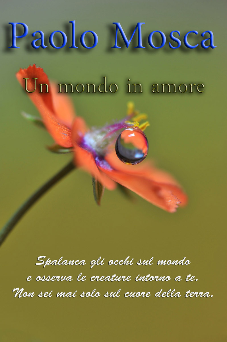Un mondo in amore (Paolo Mosca)