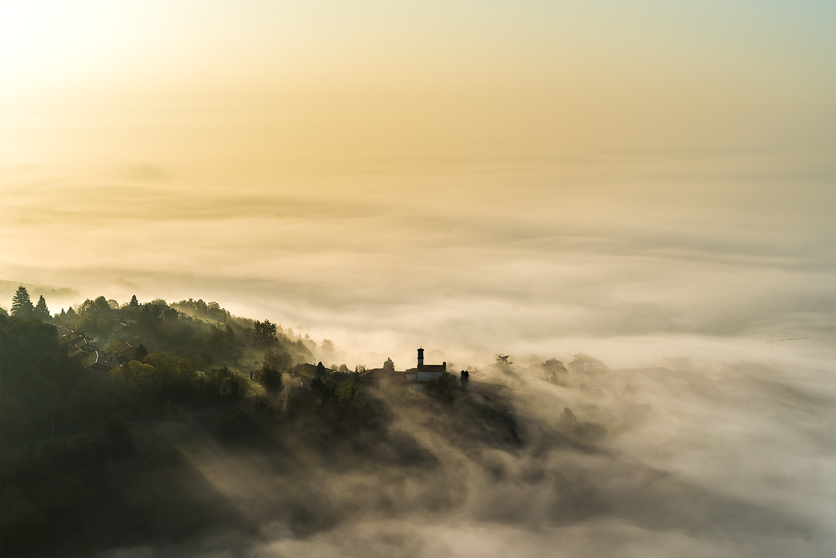 Autumn fog - pp camera raw