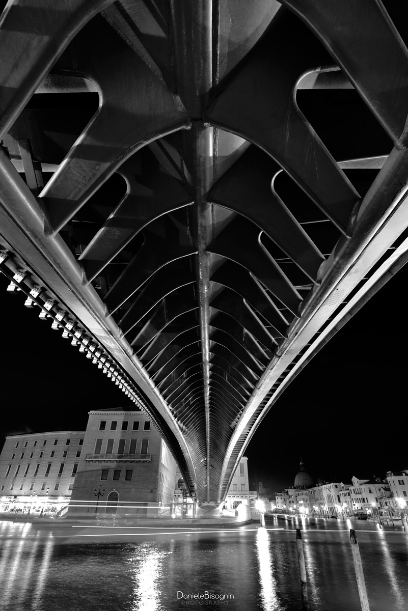 Future crossing Venice