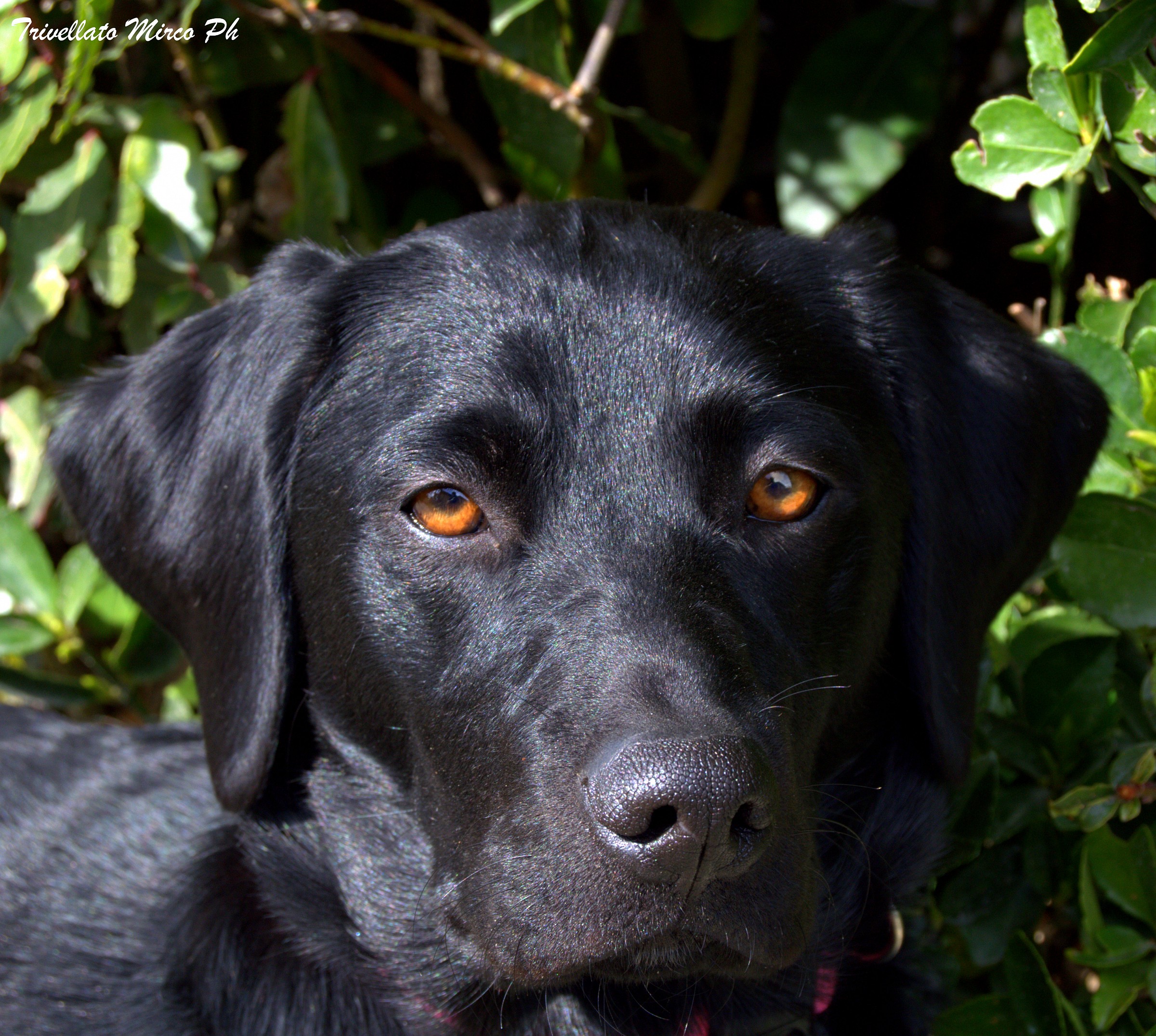 Uno sguardo che vale più delle parole