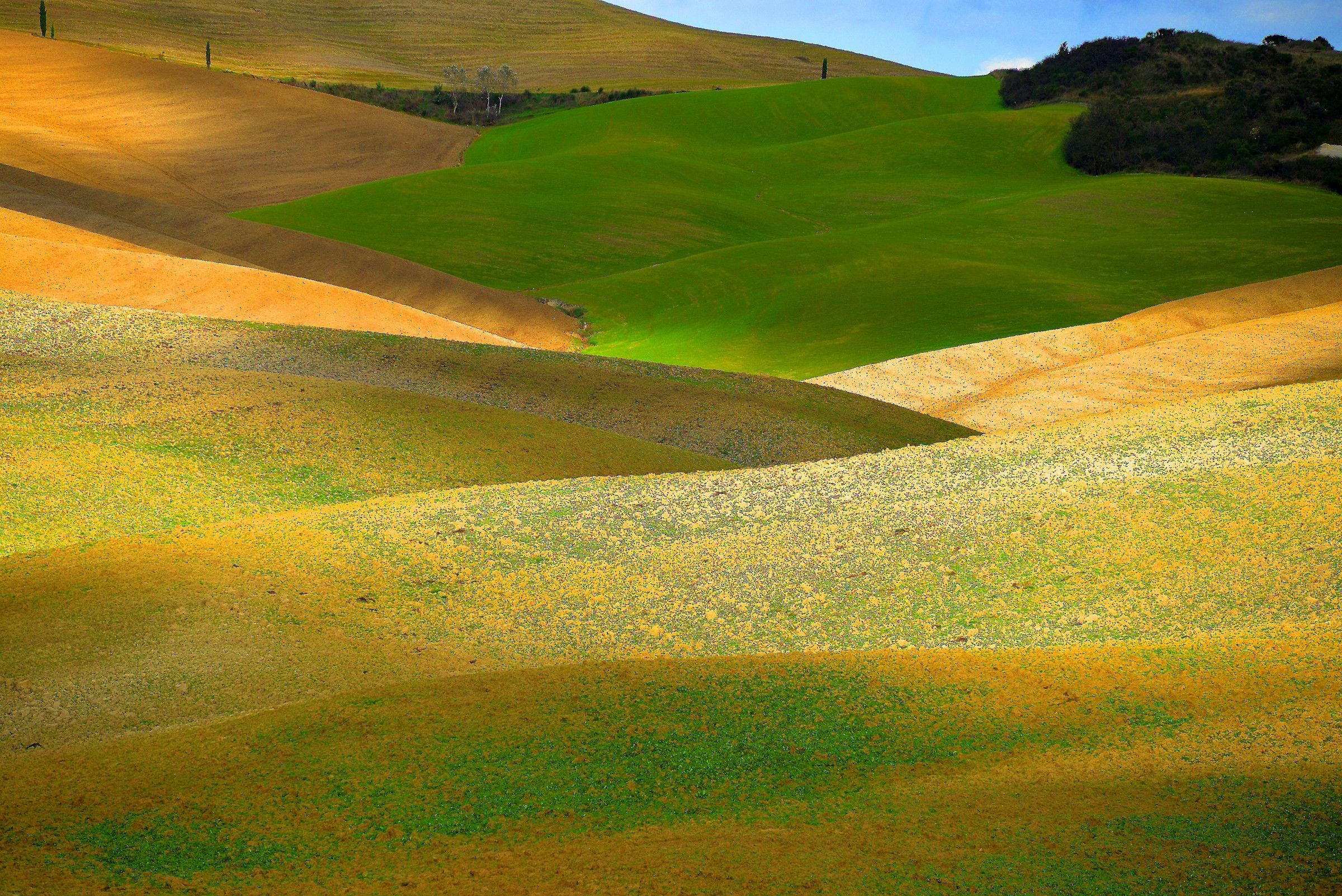 Val D'Orcia(Toscana).