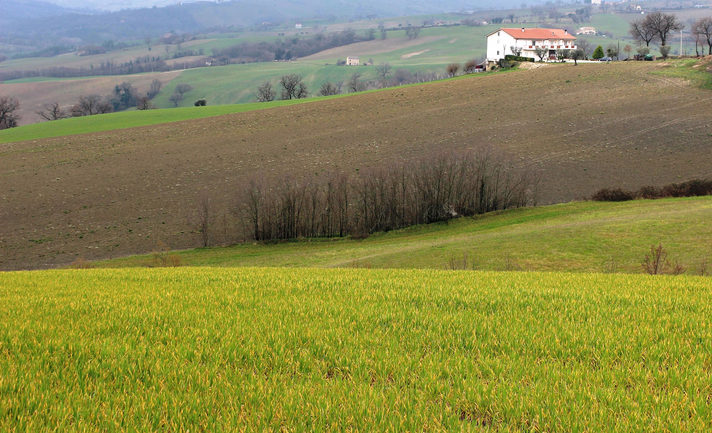 Sweet, green hills Maceratesi