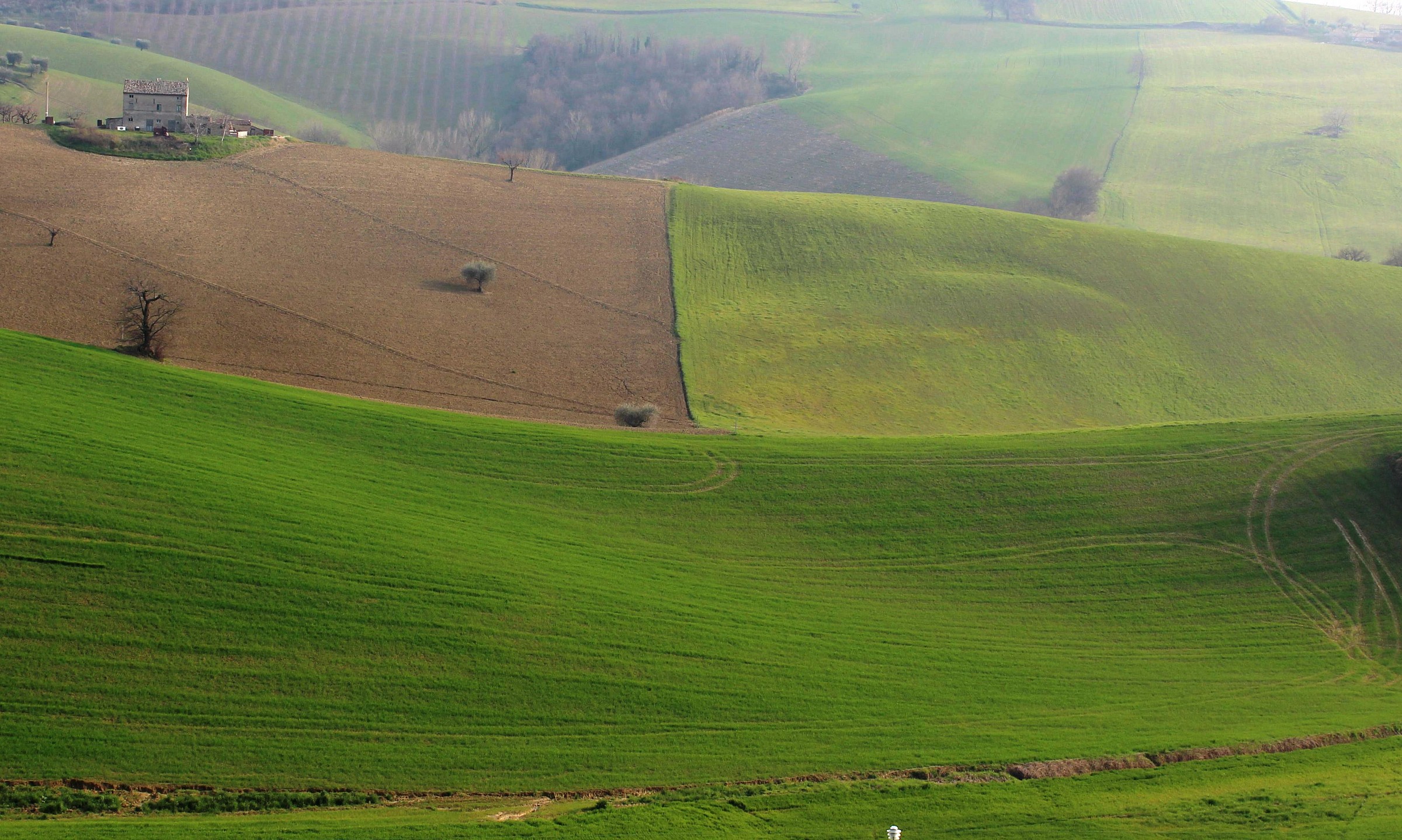 Geometries in the hills of Macerata ...