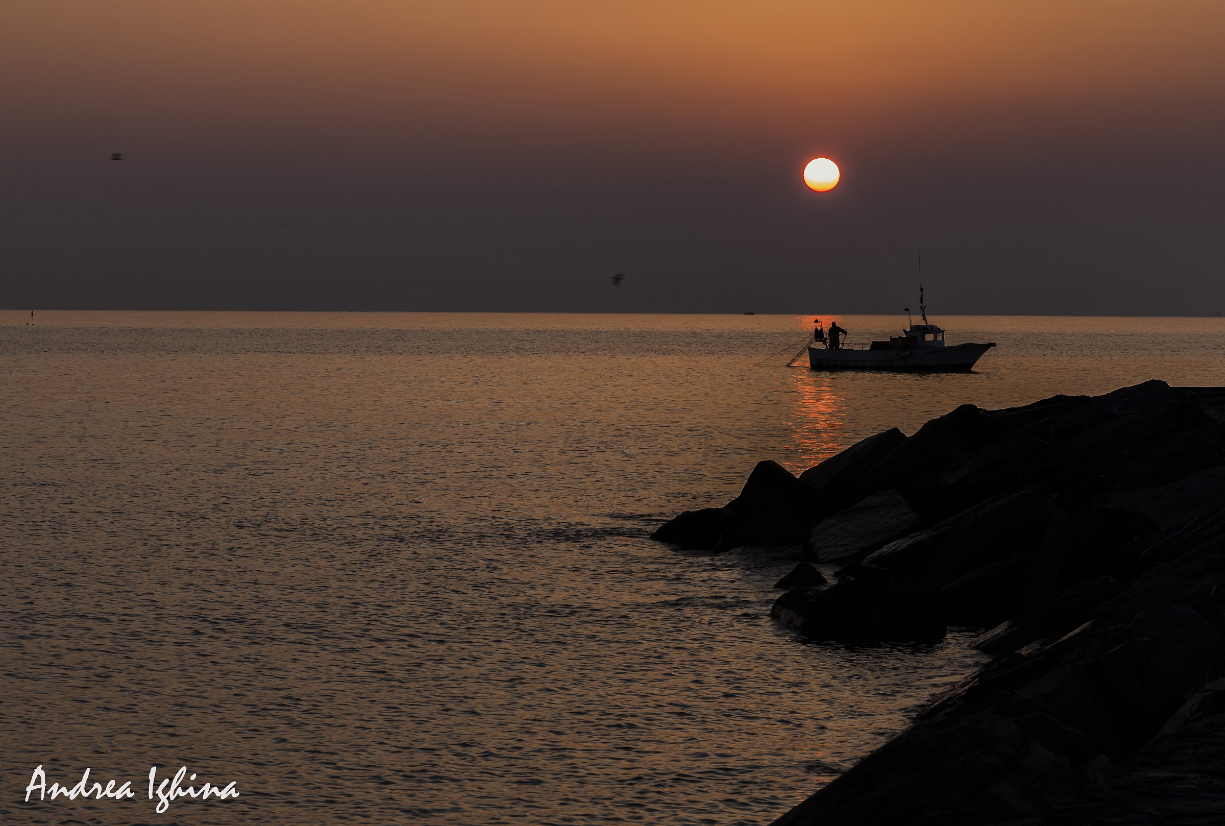 pescando all'alba