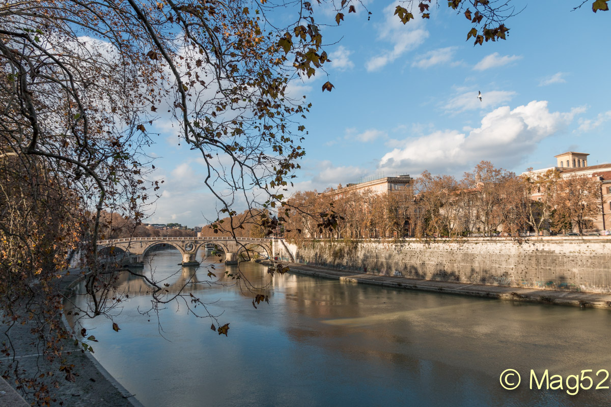 The Tiber
