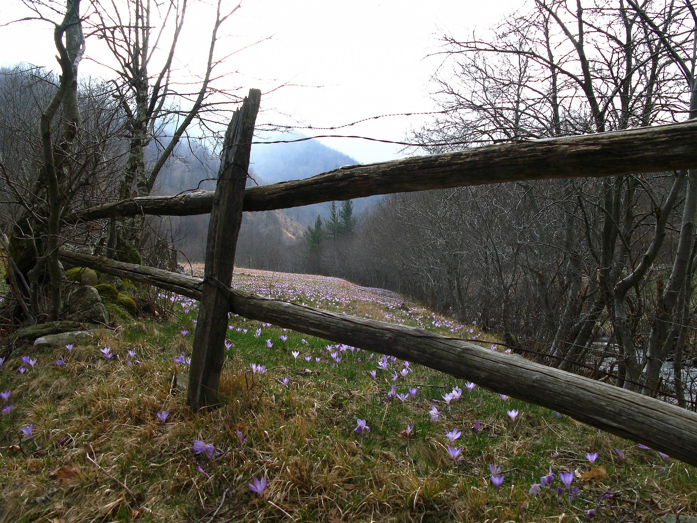 Ventarola - Val d'tomb - Ge