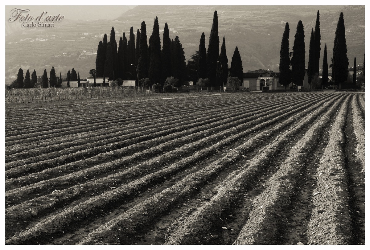 Dalla terra alla terra