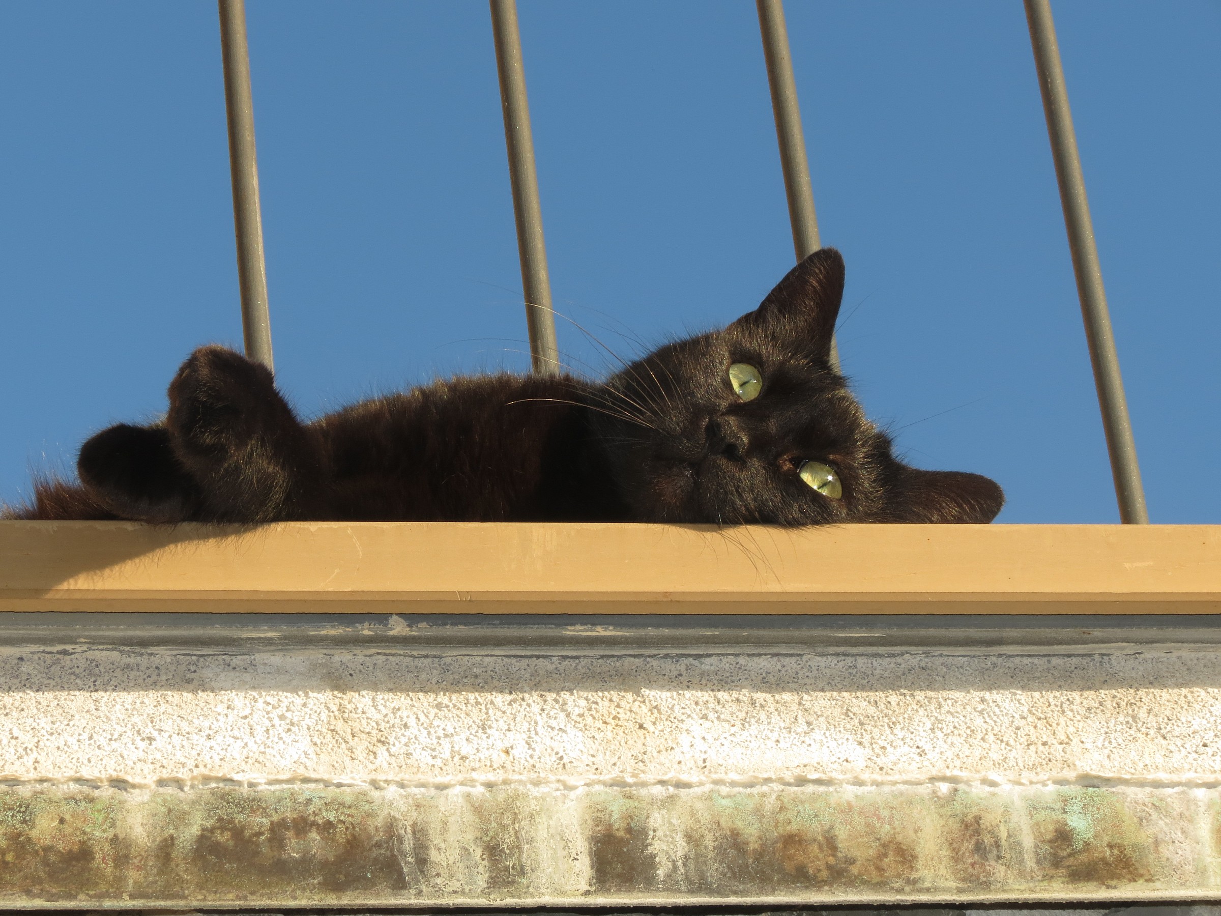 E ora un bel pisolino