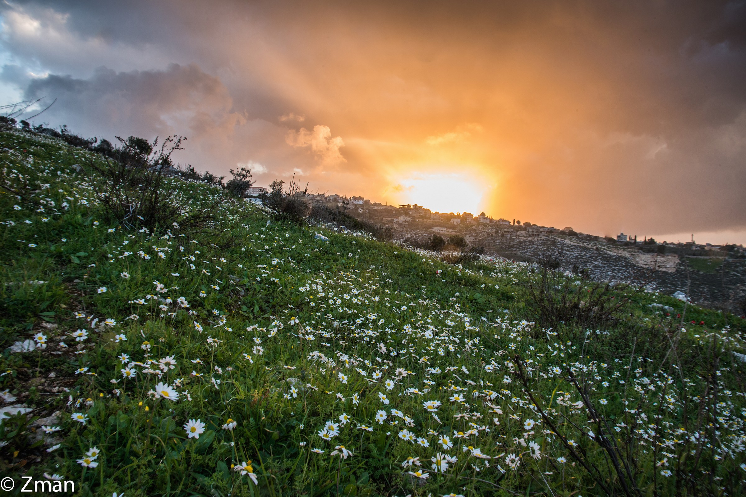 The Coming of Spring