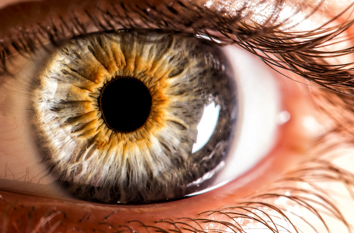 Eyes mirror of the soul