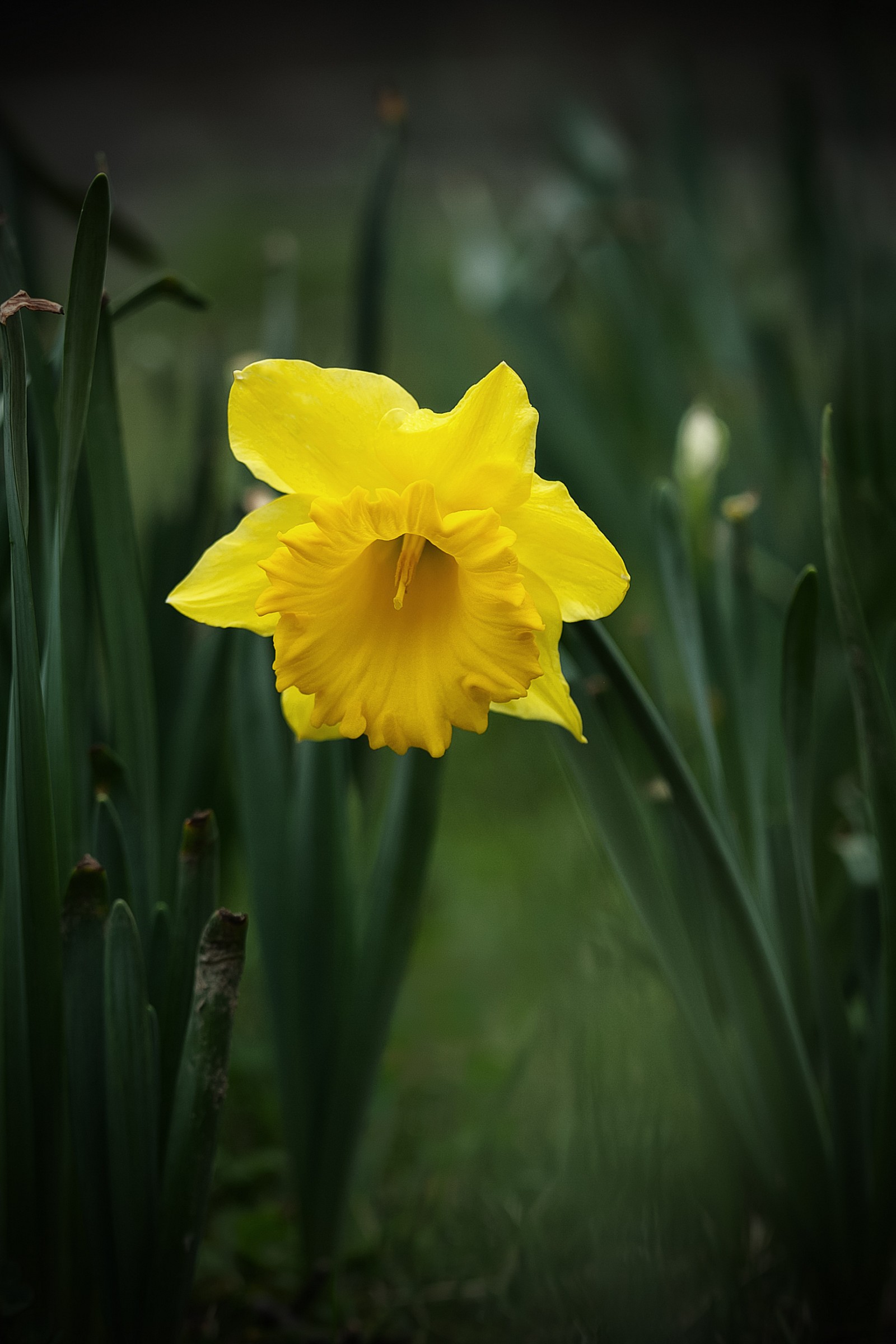 Waiting for spring ........