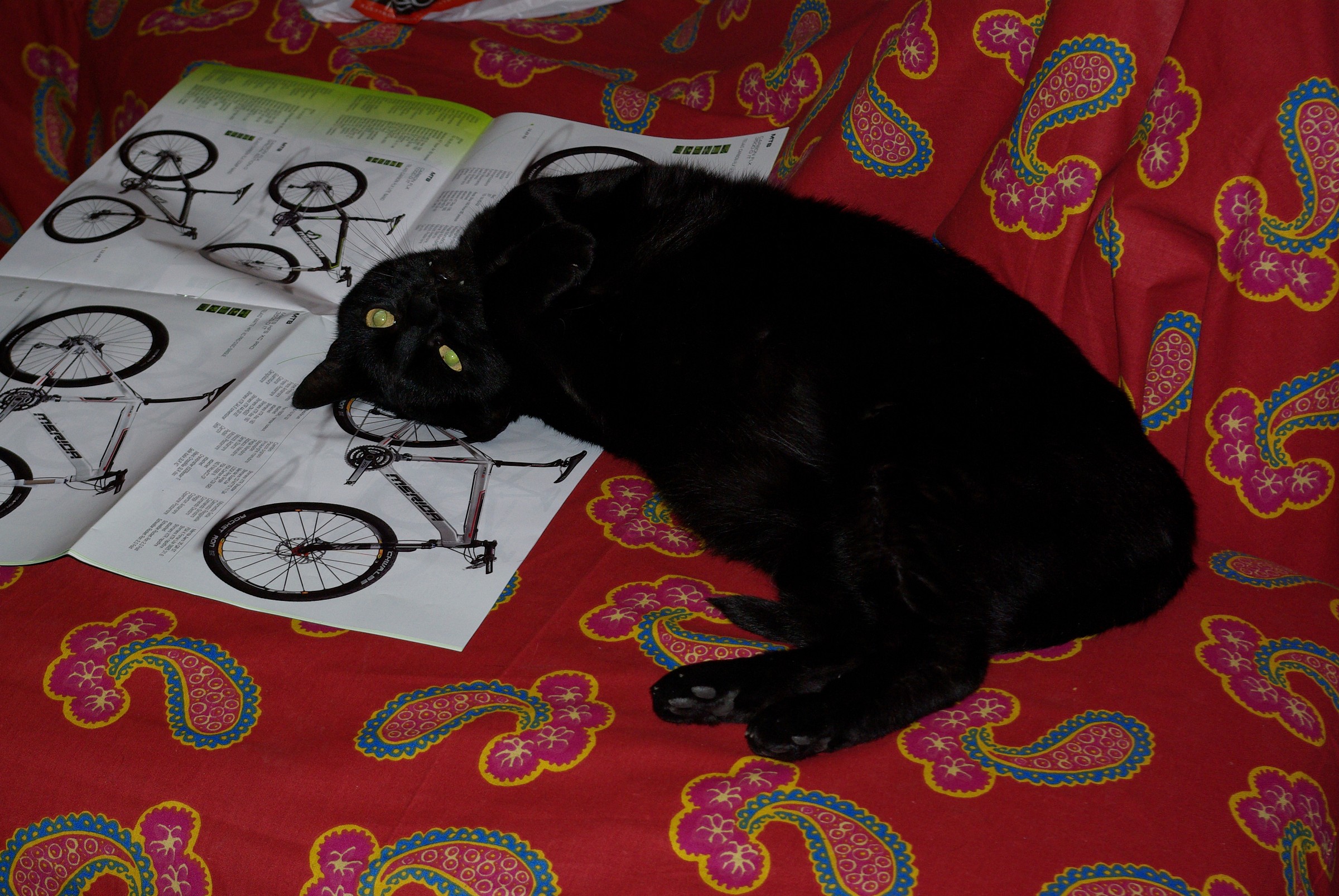 Il saluto di Merlino.