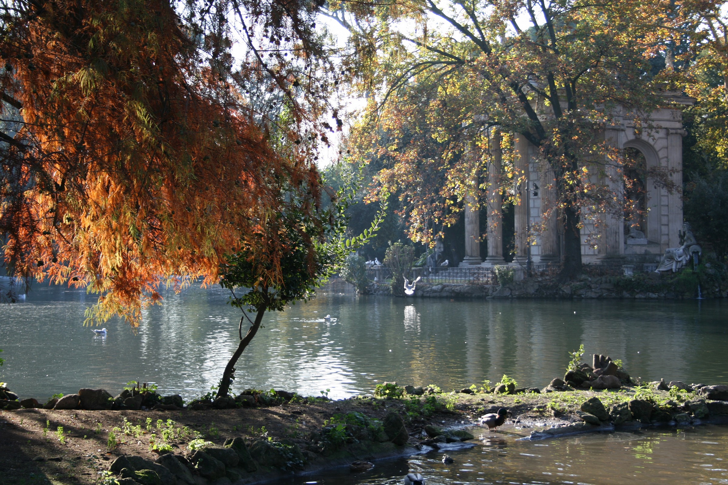 Villa borghese