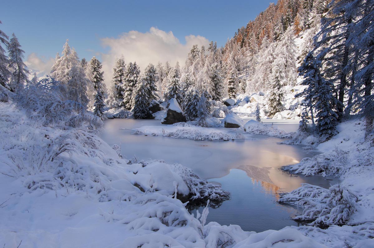 The autumn winter of mirrors